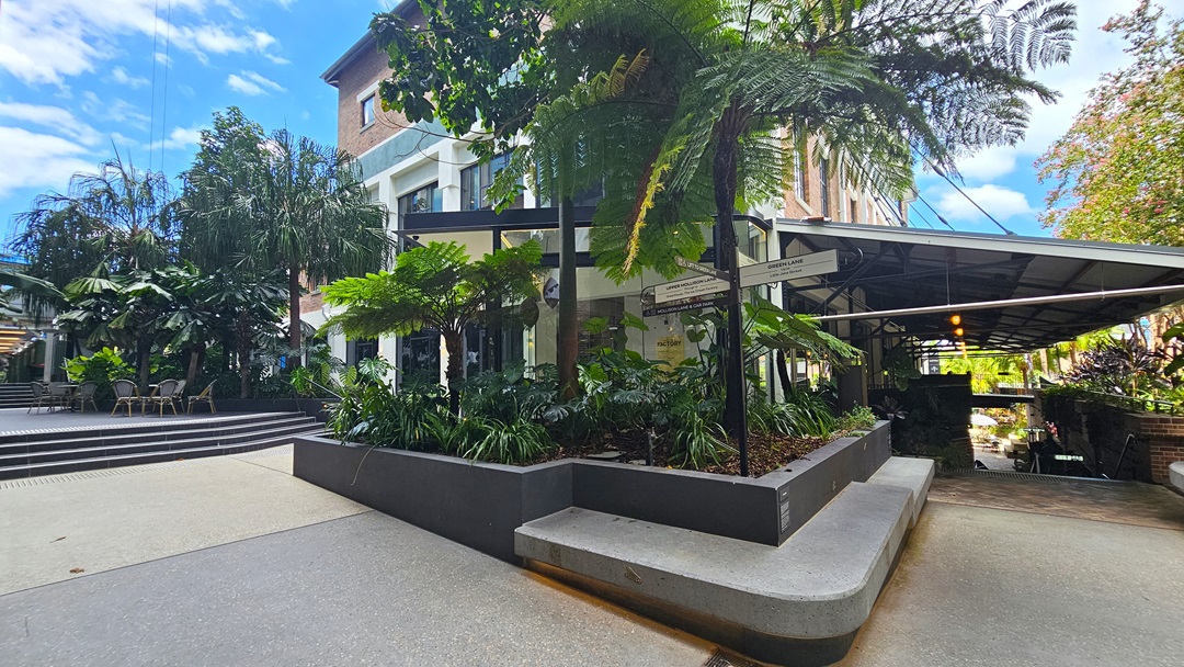 In the centre lies a concrete plant box with tall ornamental plants and trees, accompanied by signage on a pole. To the left, an elevated area hosts movable chairs and tables under the shade of tall palm trees. On the right, an extended roofing shelter descending stairs with handrails. Behind stands a multi-storey building with a brick facade and large windows. In the centre lies a concrete plant box with tall ornamental plants and trees, accompanied by signage on a pole. To the left, an elevated area hosts movable chairs and tables under the shade of tall palm trees. On the right, an extended roofing shelter descending stairs with handrails. Behind stands a multi-storey building with a brick facade and large windows.