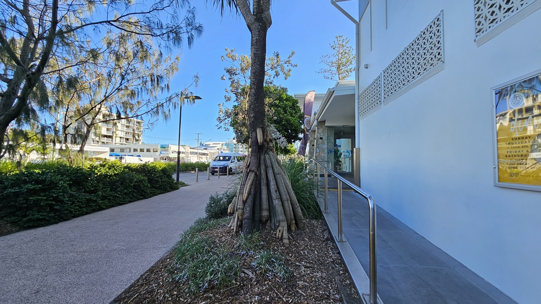 On the left, there is a pathway bordered by bushes and trees, leading to a distant building. In the middle, a tree is supported by wooden stakes, surrounded by mulch and low plants. On the right, a white building with a perforated design near the roof has a glass door entrance with a metal handrail and a poster on the wall. The floor is a mix of concrete paving and a textured path. On the left, there is a pathway bordered by bushes and trees, leading to a distant building. In the middle, a tree is supported by wooden stakes, surrounded by mulch and low plants. On the right, a white building with a perforated design near the roof has a glass door entrance with a metal handrail and a poster on the wall. The floor is a mix of concrete paving and a textured path.