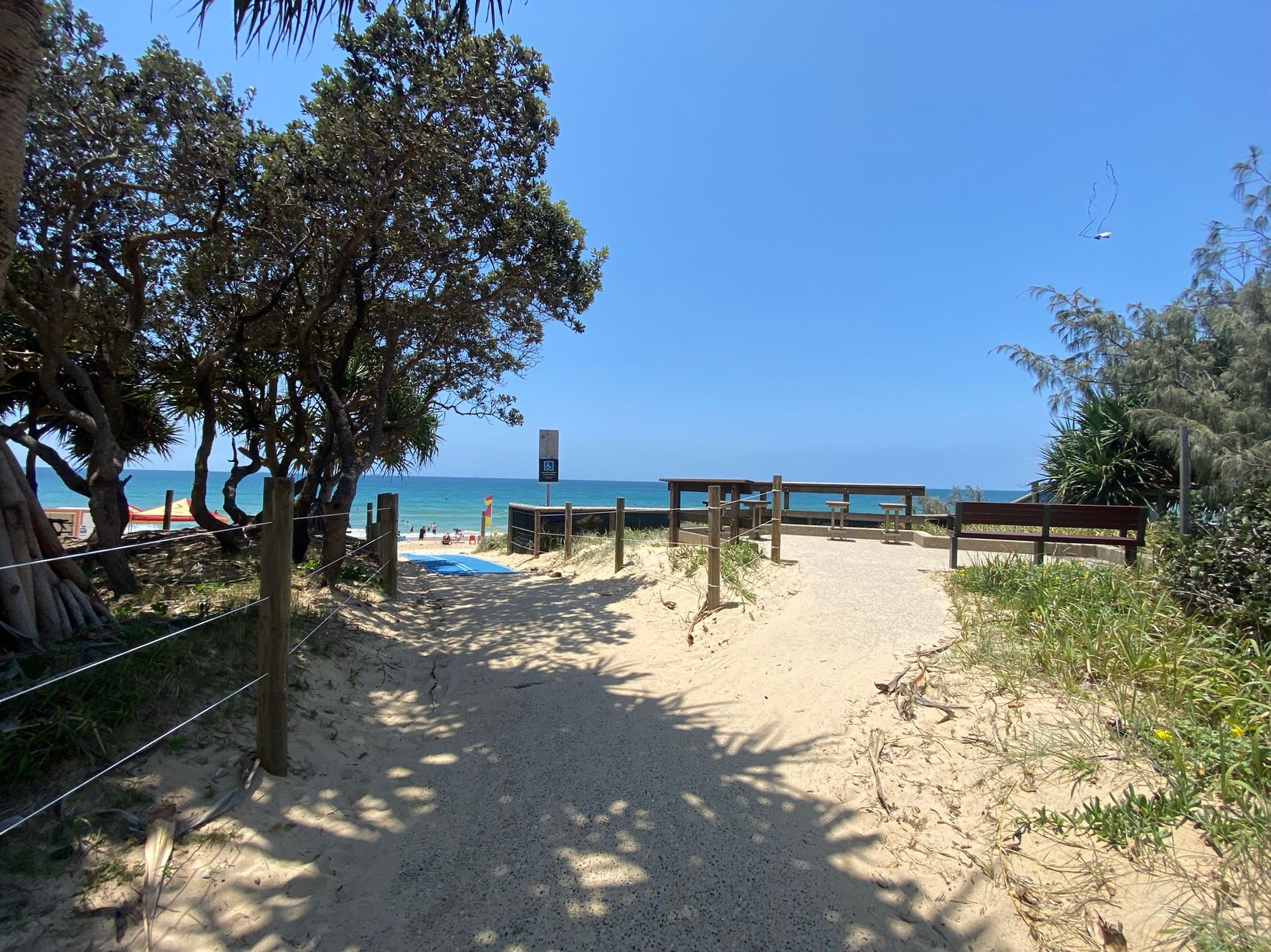 On the left, tall trees with thick foliage create partial shade over sandy ground bordered by wooden posts and thin wire fencing. On the right, low bushes and grasses grow along the edge of a sandy pathway, with a few trees leaning into view. In the middle, a wide sandy path leads to benches and wooden fencing overlooking the ocean. The floor is mostly sand with some scattered plants, and shadows from nearby trees fall across the pathway. On the left, tall trees with thick foliage create partial shade over sandy ground bordered by wooden posts and thin wire fencing. On the right, low bushes and grasses grow along the edge of a sandy pathway, with a few trees leaning into view. In the middle, a wide sandy path leads to benches and wooden fencing overlooking the ocean. The floor is mostly sand with some scattered plants, and shadows from nearby trees fall across the pathway.