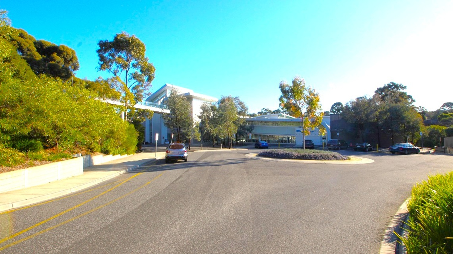 A wide road curves around a landscaped roundabout in the foreground. On the left, dense green foliage lines a concrete wall. In the centre, a modern building with a white roof is partially visible, surrounded by tall trees. To the right, more trees and a few parked cars are present. The sky is clear and blue. A wide road curves around a landscaped roundabout in the foreground. On the left, dense green foliage lines a concrete wall. In the centre, a modern building with a white roof is partially visible, surrounded by tall trees. To the right, more trees and a few parked cars are present. The sky is clear and blue.