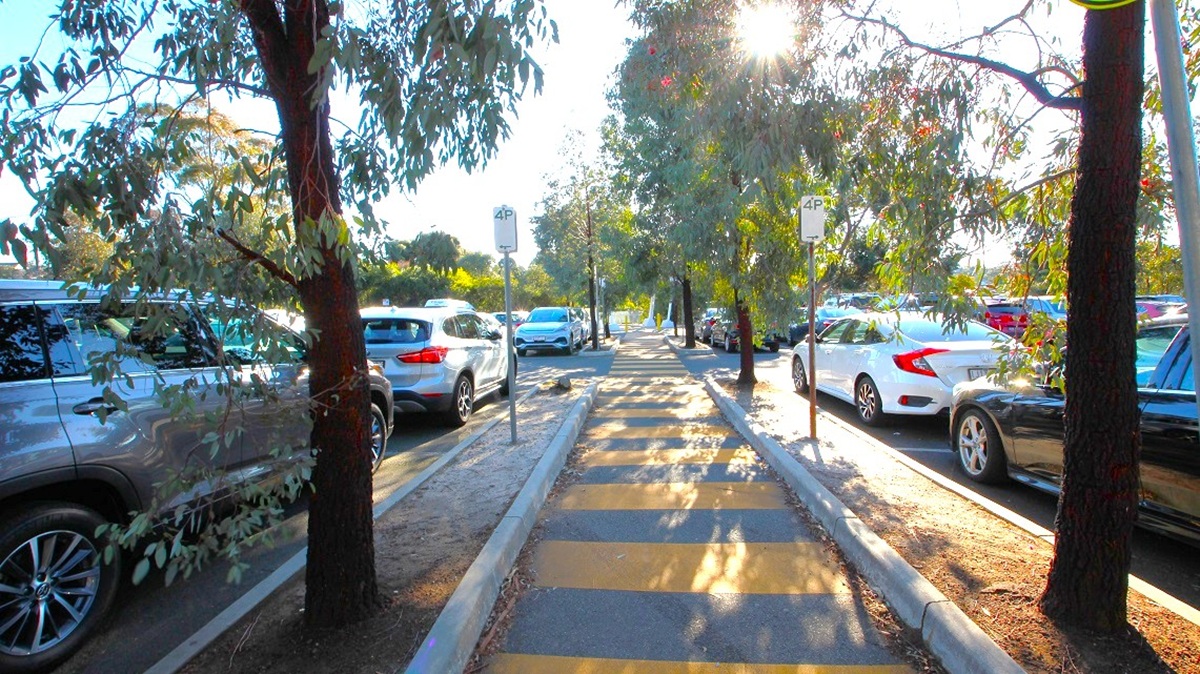 A tree-lined path with alternating yellow and grey stripes runs through the centre. On both sides, cars are parked parallel to the path. The left side has a mix of silver and dark-coloured vehicles, while the right side features white and dark cars. Sunlight filters through the trees, casting shadows on the path. The ground beside the path is bare soil, and there are signposts along the way. A tree-lined path with alternating yellow and grey stripes runs through the centre. On both sides, cars are parked parallel to the path. The left side has a mix of silver and dark-coloured vehicles, while the right side features white and dark cars. Sunlight filters through the trees, casting shadows on the path. The ground beside the path is bare soil, and there are signposts along the way.