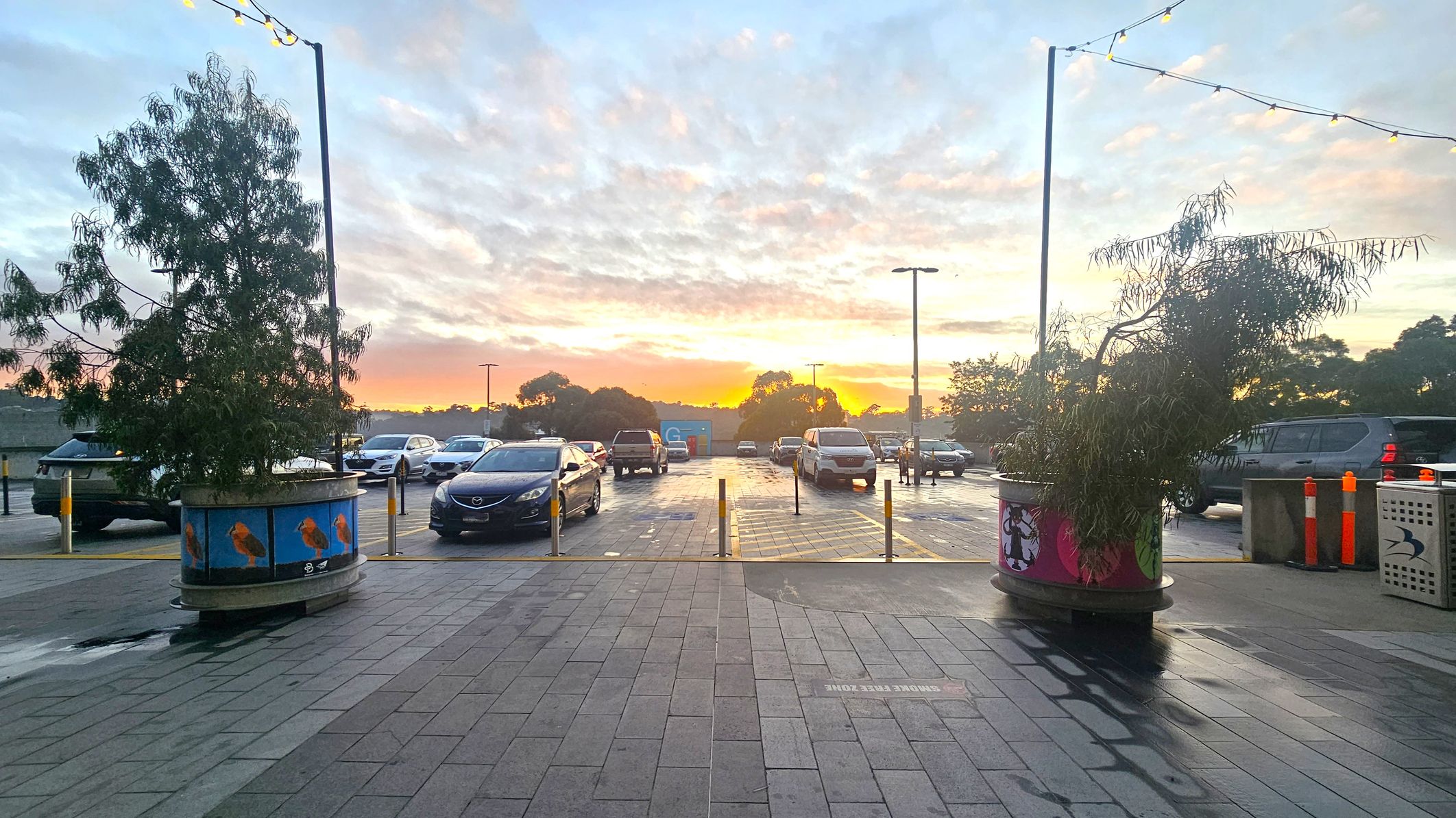 Paved area in the foreground with two large planters containing leafy trees on either side. The planters have colourful designs. Beyond, a car park with several vehicles is visible. In the background, a sunset casts an orange glow over the horizon, silhouetting trees. Overhead, string lights are suspended between poles. The ground appears wet, reflecting the light.