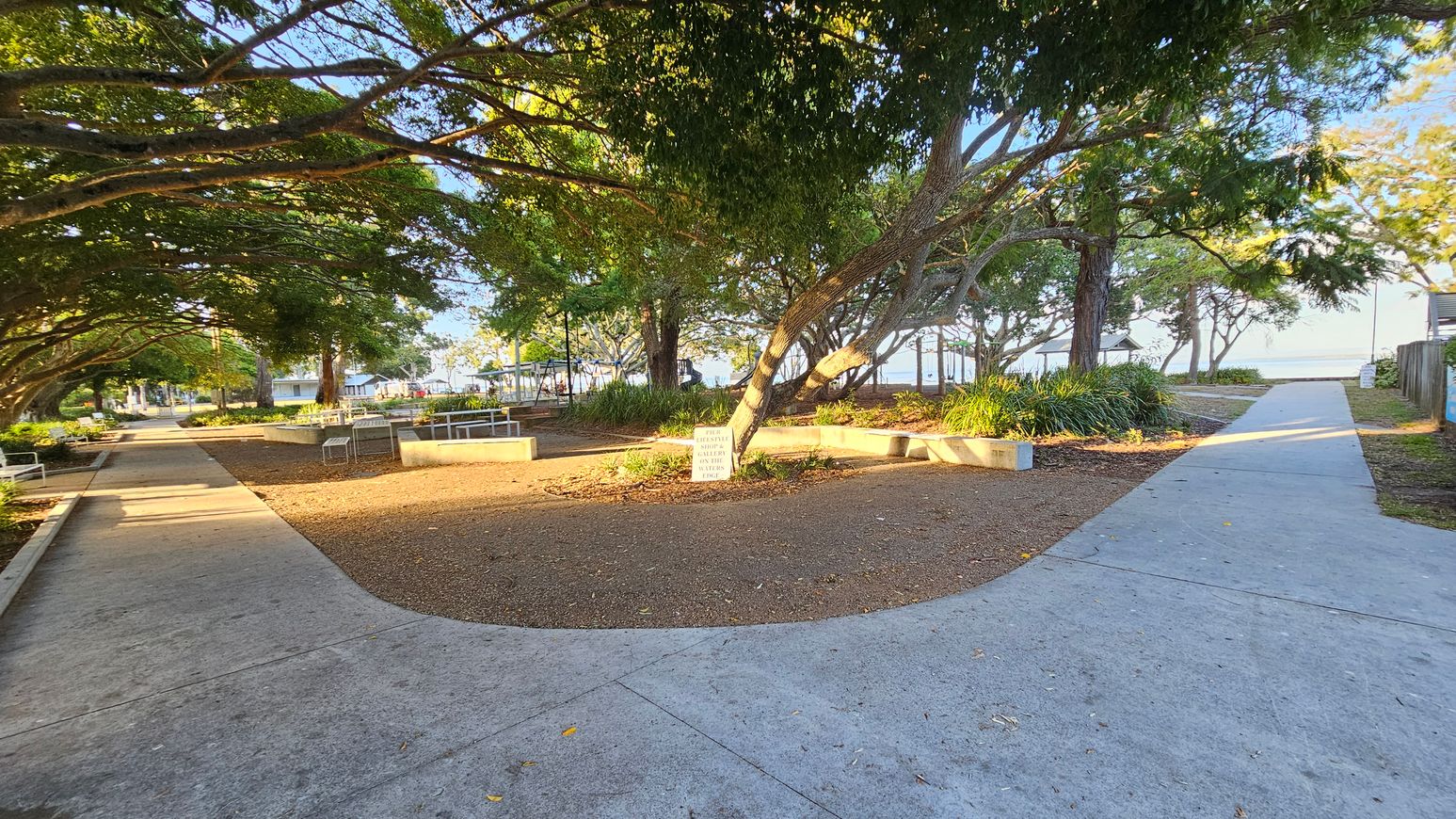 A park with a concrete path splitting into two directions. On the left, the path is lined with benches and shaded by large trees. In the centre, a tree with a sign at its base is surrounded by a circular seating area. On the right, the path leads towards more trees and a glimpse of water in the distance. The ground is a mix of concrete and mulch, with scattered leaves. The area is well-lit, suggesting daylight. A park with a concrete path splitting into two directions. On the left, the path is lined with benches and shaded by large trees. In the centre, a tree with a sign at its base is surrounded by a circular seating area. On the right, the path leads towards more trees and a glimpse of water in the distance. The ground is a mix of concrete and mulch, with scattered leaves. The area is well-lit, suggesting daylight.