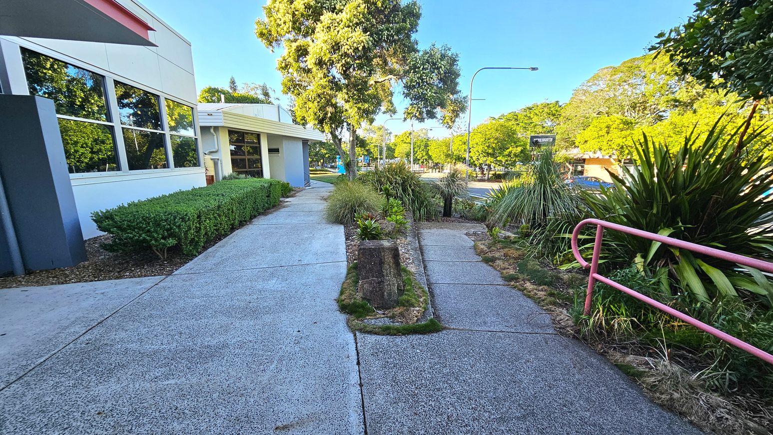 A concrete pathway splits into two, bordered by low hedges on the left and tall grasses on the right. A white building with large windows is on the left, reflecting greenery. A red handrail runs along the right path. Trees and shrubs are scattered throughout, with a road visible in the background. The sky is clear, and the area is well-lit, suggesting daytime. A concrete pathway splits into two, bordered by low hedges on the left and tall grasses on the right. A white building with large windows is on the left, reflecting greenery. A red handrail runs along the right path. Trees and shrubs are scattered throughout, with a road visible in the background. The sky is clear, and the area is well-lit, suggesting daytime.