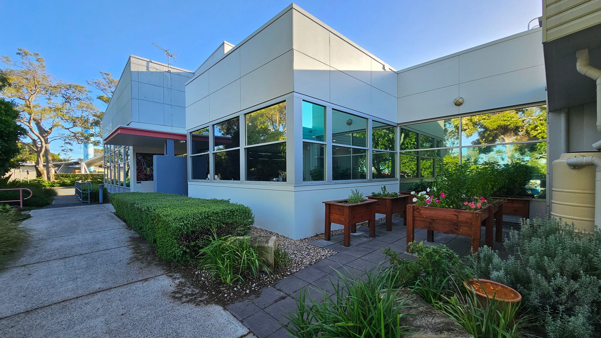 A modern building with large windows and a white exterior. On the right, there are wooden planters with various plants and flowers. The foreground features a paved path and neatly trimmed hedges. To the left, a concrete walkway leads past more greenery. In the background, tall trees are visible, and a water tank is attached to the building on the right. The scene is well-lit, suggesting a sunny day. A modern building with large windows and a white exterior. On the right, there are wooden planters with various plants and flowers. The foreground features a paved path and neatly trimmed hedges. To the left, a concrete walkway leads past more greenery. In the background, tall trees are visible, and a water tank is attached to the building on the right. The scene is well-lit, suggesting a sunny day.