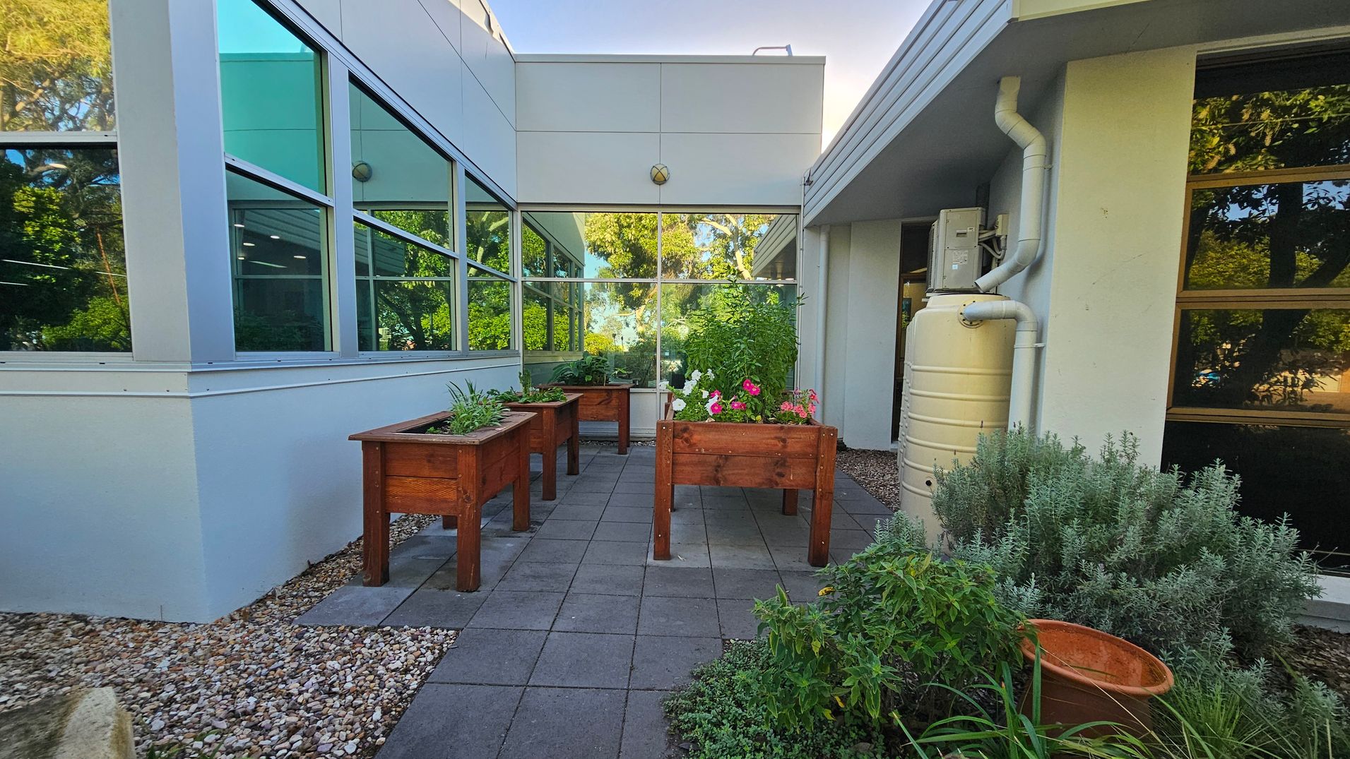 A small courtyard with raised wooden planters filled with various plants and flowers. The ground is covered with square paving stones and bordered by gravel. On the right, a beige water tank is attached to the building, with a downpipe leading into it. The building has large windows reflecting greenery. In the foreground, there are additional plants and an empty terracotta pot. The area is surrounded by trees and shrubs, visible through the windows. A small courtyard with raised wooden planters filled with various plants and flowers. The ground is covered with square paving stones and bordered by gravel. On the right, a beige water tank is attached to the building, with a downpipe leading into it. The building has large windows reflecting greenery. In the foreground, there are additional plants and an empty terracotta pot. The area is surrounded by trees and shrubs, visible through the windows.