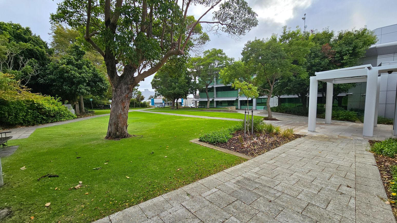 A landscaped area with a large tree in the centre, surrounded by well-maintained grass. On the left, there is a bench near dense foliage. On the right, a paved path leads to a modern building with large windows, partially obscured by trees. A white pergola structure stands near the path. The background features more trees and a glimpse of additional buildings. The ground is a mix of grass and paving stones. A landscaped area with a large tree in the centre, surrounded by well-maintained grass. On the left, there is a bench near dense foliage. On the right, a paved path leads to a modern building with large windows, partially obscured by trees. A white pergola structure stands near the path. The background features more trees and a glimpse of additional buildings. The ground is a mix of grass and paving stones.