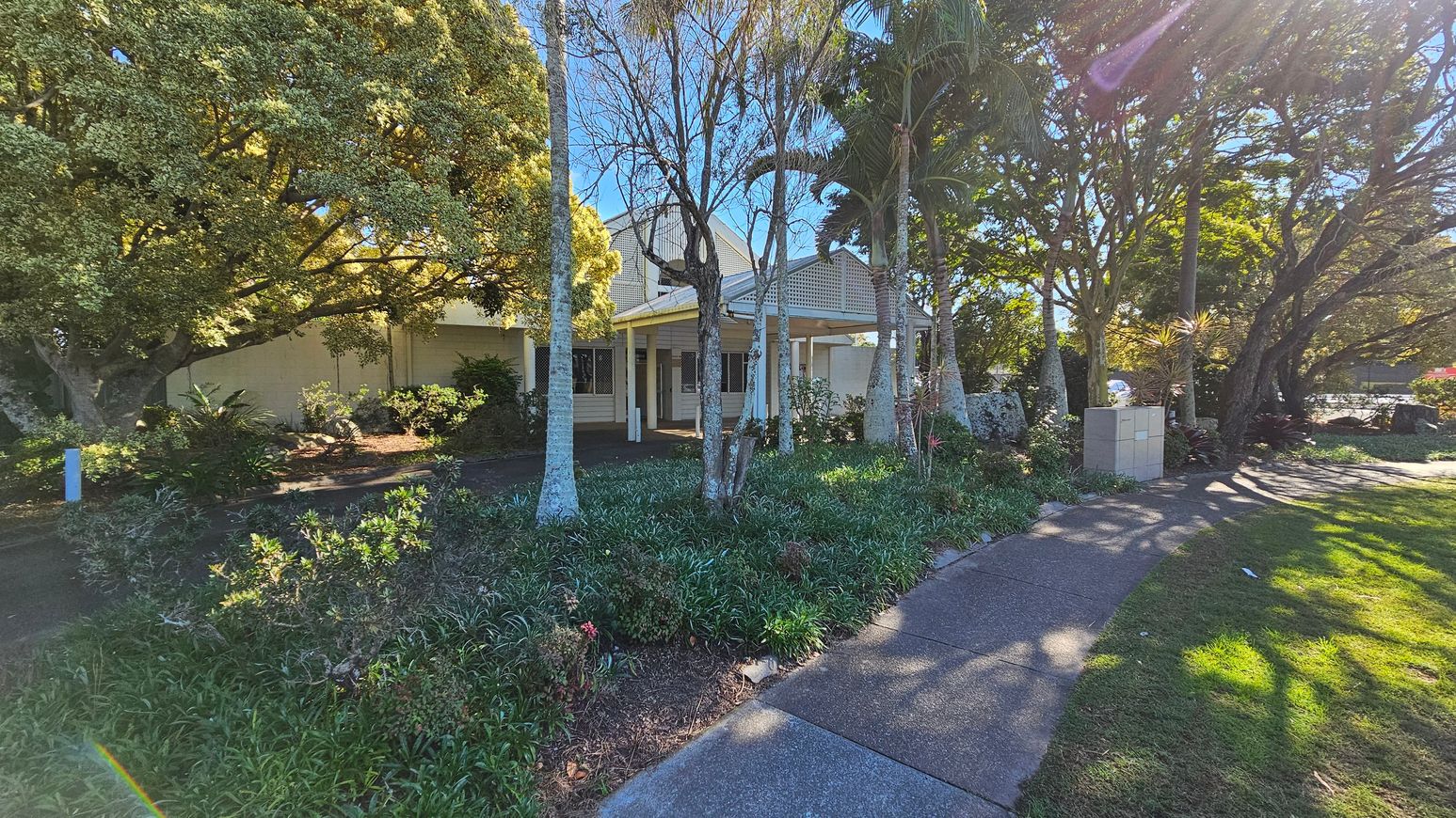 A house with a light-coloured exterior is partially obscured by trees and shrubs. The foreground features a curved concrete path bordered by grass and a variety of plants. Tall trees with slender trunks and dense foliage are scattered throughout the garden, casting shadows on the ground. A small utility box is visible near the path. Sunlight filters through the trees, creating dappled light patterns on the path and grass.
