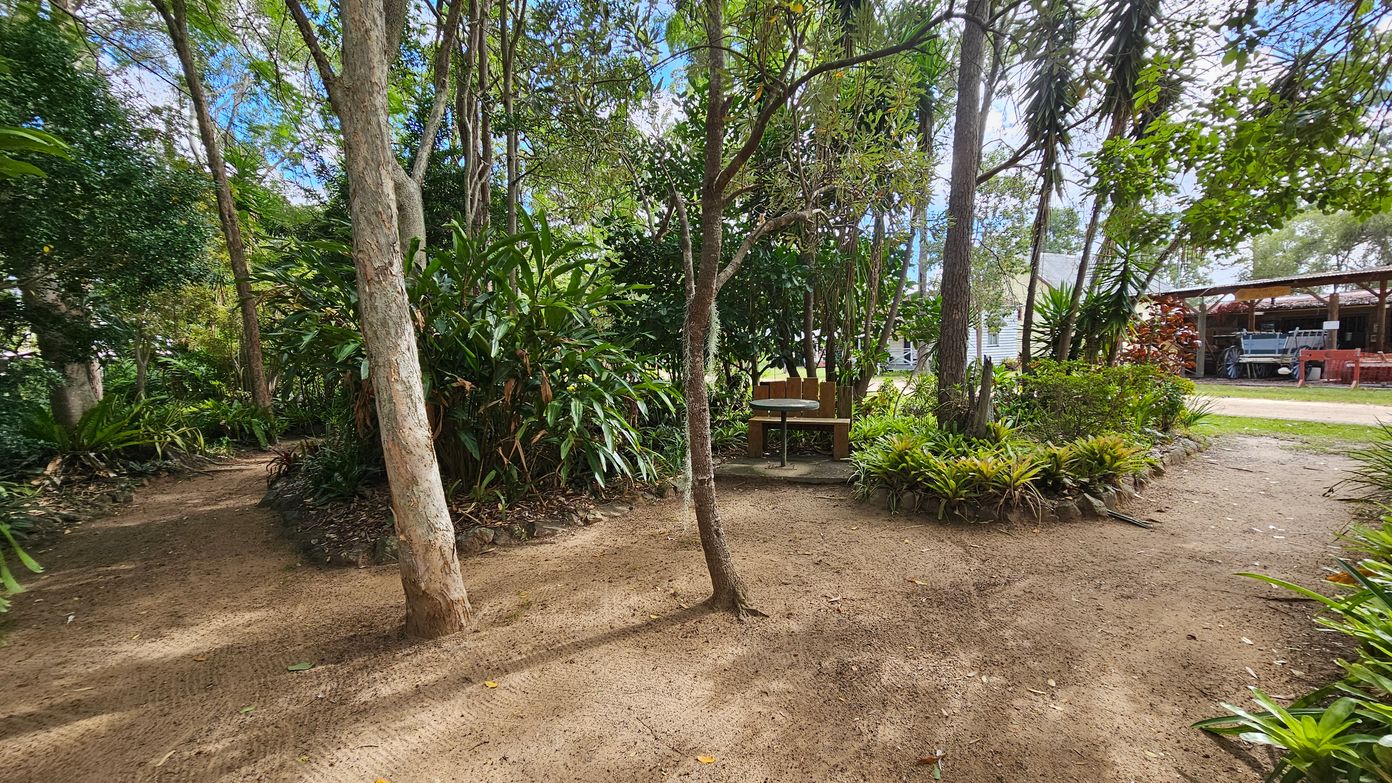 A garden scene with a dirt path winding through lush greenery. On the left, tall trees and dense foliage create a shaded area. In the centre, a small tree stands on a patch of dirt. To the right, a wooden bench with a round table is nestled among plants. In the background, a structure with a roof and various items underneath is visible, along with a glimpse of a house. The ground is covered with a mix of dirt and scattered leaves.