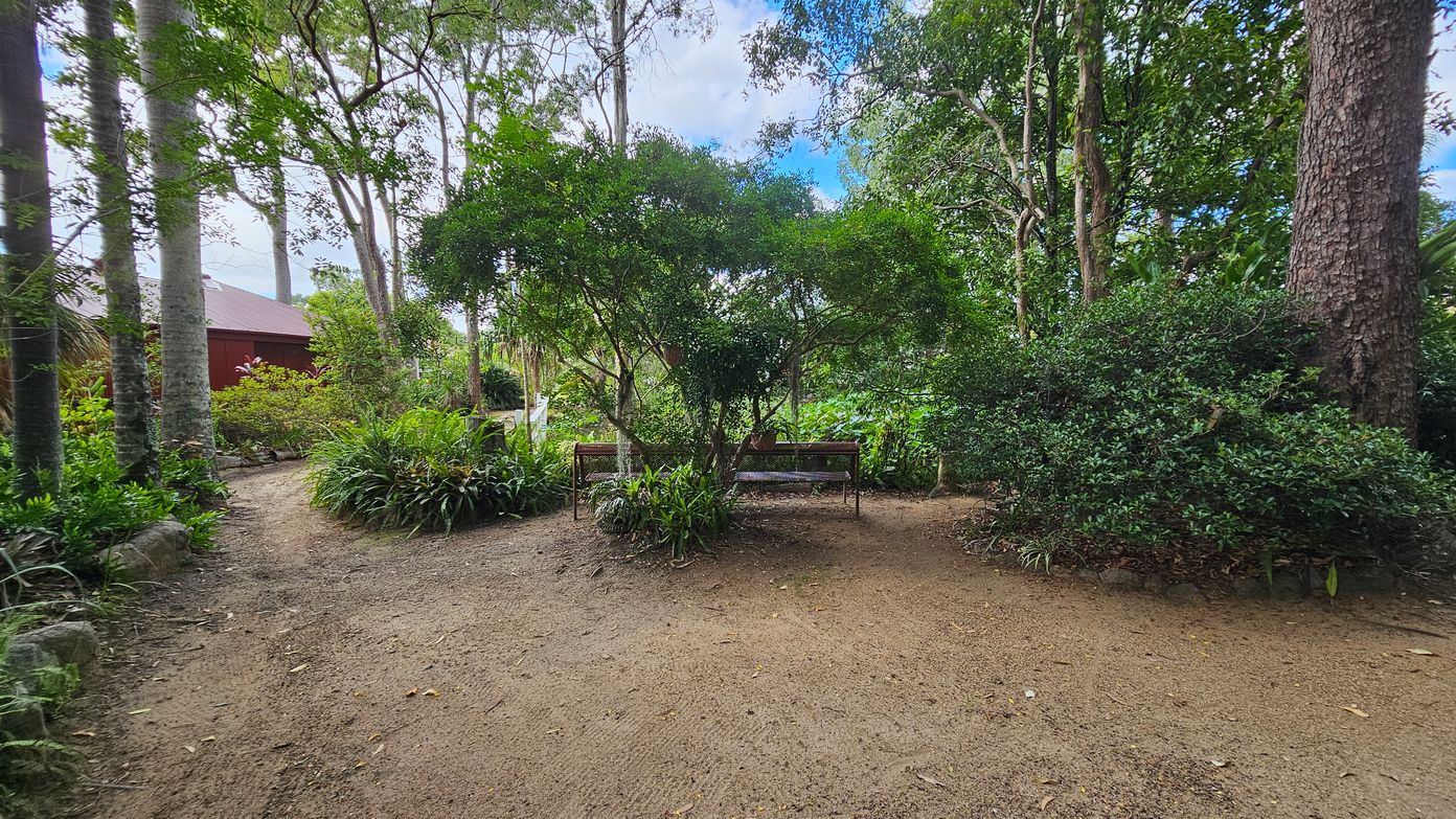 A garden scene with a dirt path in the foreground leading to a bench in the middle, partially obscured by a lush green tree. Surrounding the bench are various plants and shrubs. On the left, a red building is visible behind a cluster of trees and foliage. Tall trees with slender trunks are scattered throughout, and dense greenery fills the background. The ground is covered with a light layer of soil.