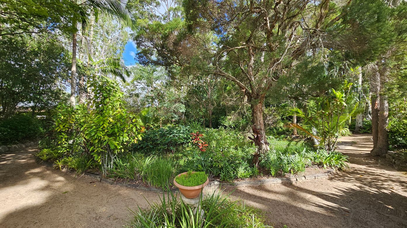 A lush garden scene with a variety of trees and plants. In the centre, a terracotta pot on a pedestal contains green foliage. To the left, dense greenery and a tall palm tree are visible. On the right, a dirt path winds through the garden, bordered by more plants and trees. The ground is covered with a sandy surface, and sunlight filters through the foliage, casting shadows.