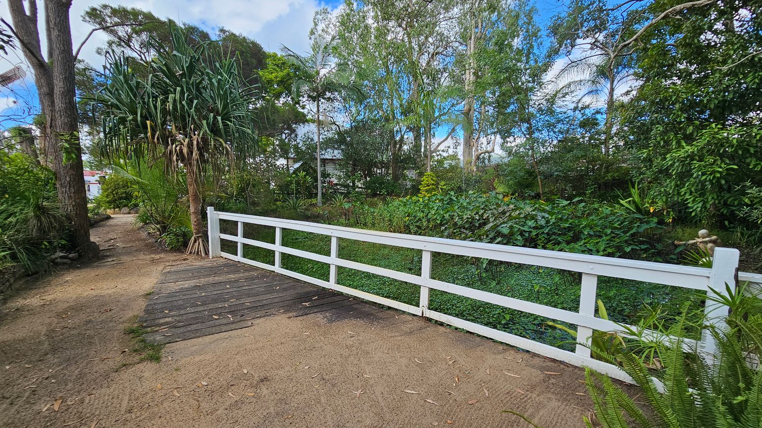 A wooden path leads to a small white bridge with railings, surrounded by lush greenery. On the left, a sandy path is bordered by tall trees and dense foliage. The right side features a variety of plants and a small statue partially visible among the greenery. The background is filled with tall trees and more vegetation, creating a serene, natural setting.
