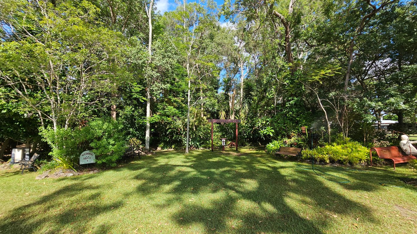A grassy area surrounded by dense trees and foliage. In the centre, a wooden sign reads "BUSH CHAPEL". To the left, a small sign indicates "WEDDING AREA" near a bench. On the right, there are two benches, one with a statue seated on it. The ground is covered with grass, and shadows of the trees are cast across it. The background is filled with tall trees and lush greenery.