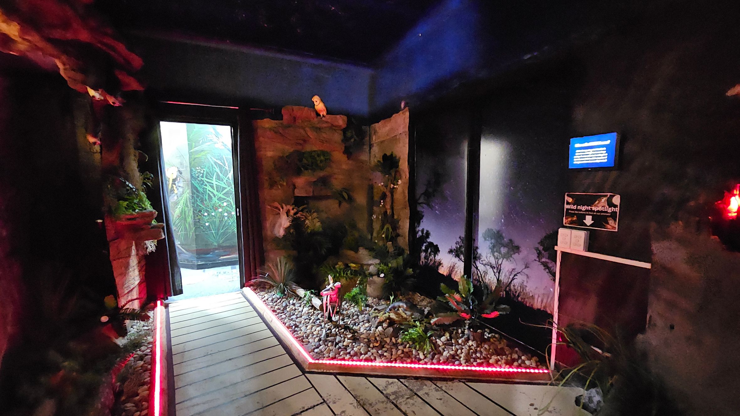 A dimly lit indoor space with a pathway bordered by red lights leading to a glass door. On the left, a rocky wall with greenery and a perched owl. The right side features a display with a small garden of rocks and plants. A digital screen and signs are mounted on the wall. The ceiling is dark, and the floor is wooden with pebbles lining the garden area.