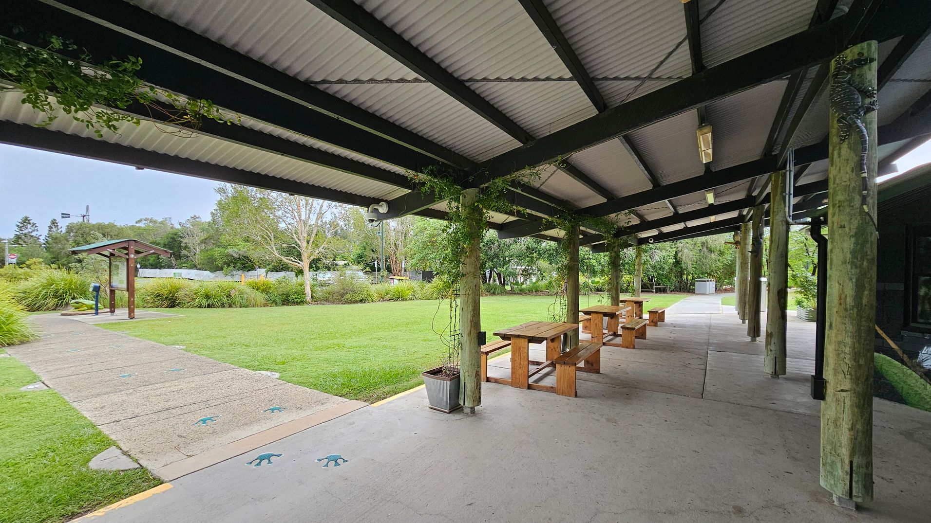 A covered outdoor area with a corrugated metal roof supported by wooden posts. Wooden picnic tables are arranged on a concrete floor. Vines climb some of the posts. In the background, a grassy area with a path leading to a wooden information board. Trees and shrubs surround the space, providing a natural setting. A small metal sculpture of a lizard is attached to one of the posts.