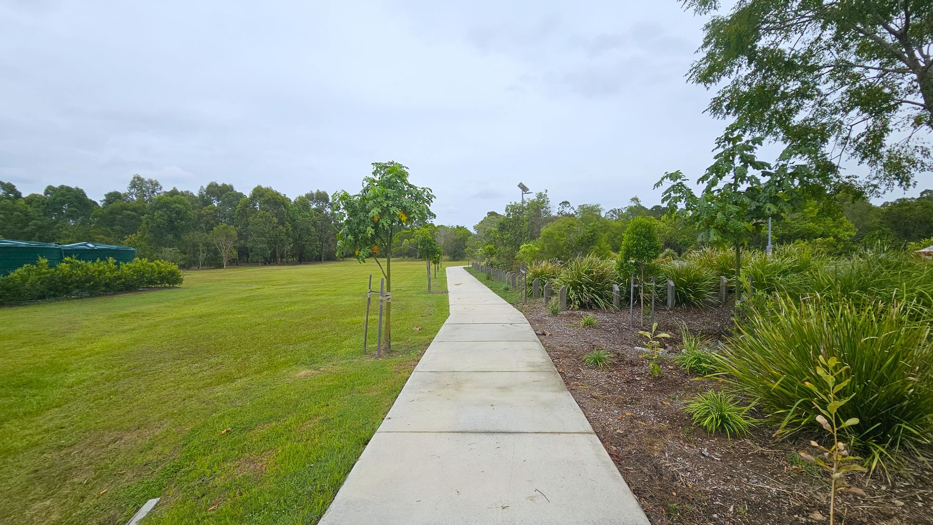 A concrete path runs through the centre, flanked by young trees and shrubs on both sides. On the left, there's a large grassy area with a green structure partially visible. On the right, the path is bordered by a variety of plants and small trees, with a larger tree extending its branches overhead. The background features a dense line of trees, creating a natural boundary.