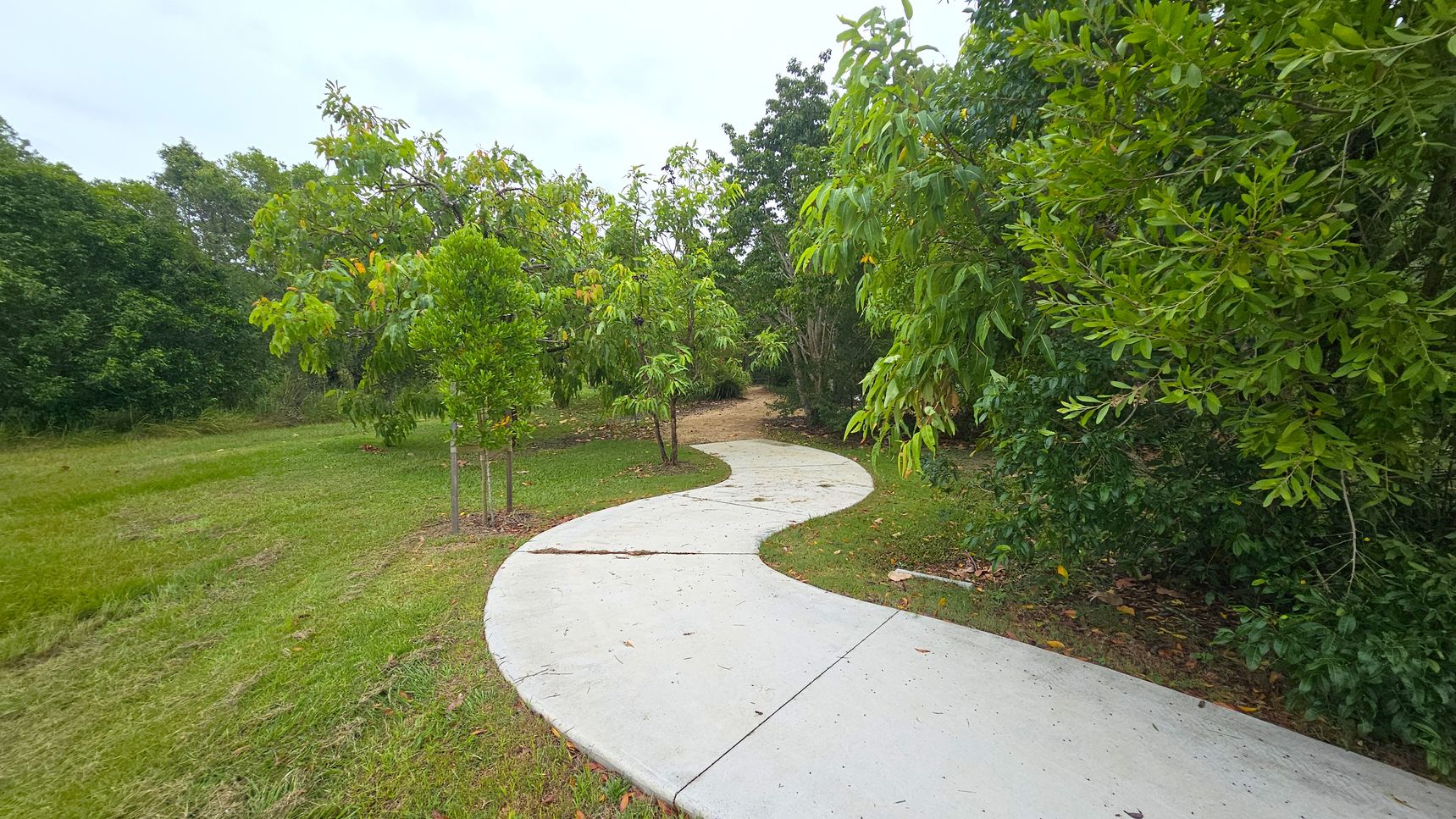 A winding concrete path curves through a lush, green area. On the left, there is a grassy field with a few small trees. On the right, dense foliage and larger trees create a natural border. The path leads into a more wooded area in the background, where the concrete gives way to a dirt trail. The scene is vibrant with various shades of green from the surrounding vegetation.