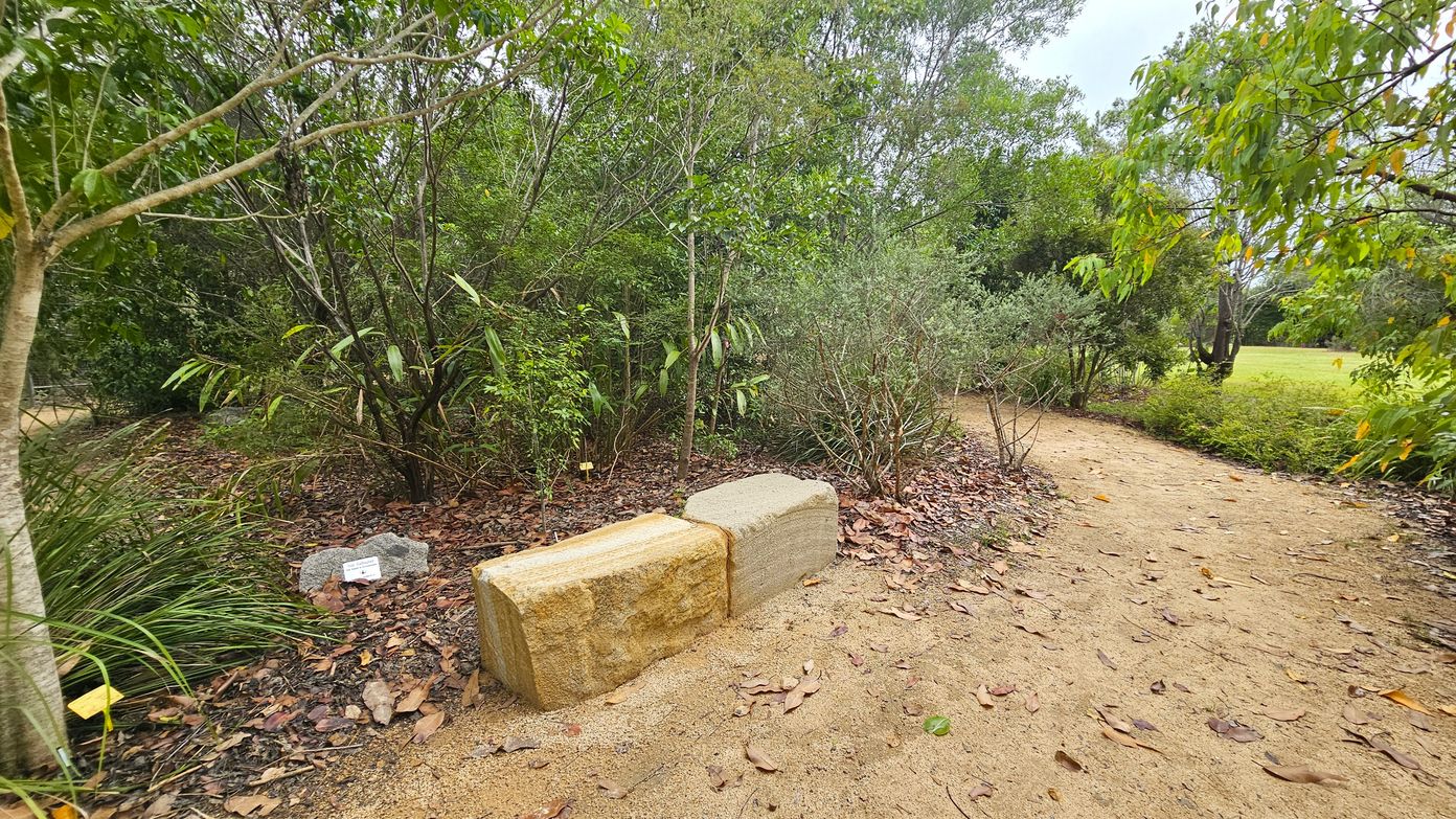 A dirt path curves through a garden area. On the left, there are dense green bushes and trees with some fallen leaves on the ground. Two large stone blocks are positioned beside the path. On the right, the path continues, bordered by more greenery and leading towards an open grassy area. The ground is covered with dry leaves, and the path is made of compacted earth.