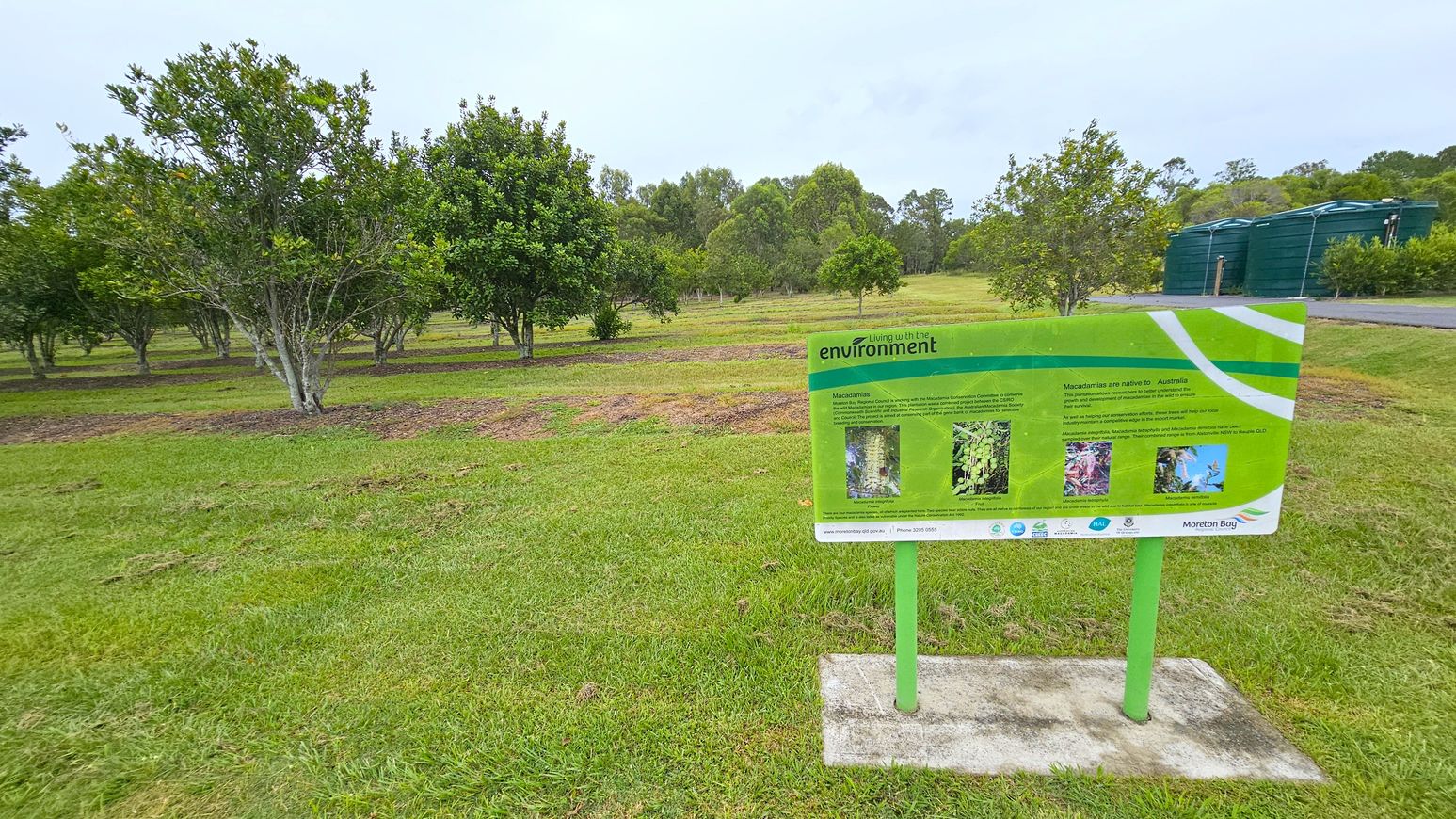 A grassy area with a green information sign in the foreground, detailing environmental information about macadamias. To the left, there are several small trees with dense foliage. In the background, more trees are visible, creating a wooded area. On the right, two large green water tanks are situated near a paved path. The ground is covered with well-maintained grass.