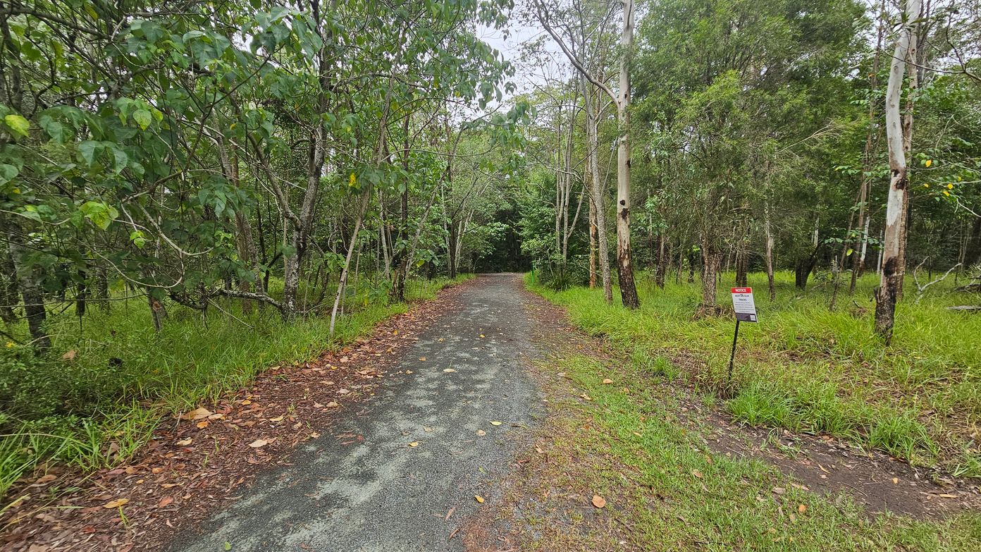 A narrow, winding path leads through a dense forest. On the left, lush green trees and bushes line the path, with fallen leaves scattered on the ground. On the right, more trees and tall grass are visible, along with a small signpost with a red top. The path is slightly worn, with patches of grass encroaching on its edges. The background is filled with more trees, creating a canopy overhead.