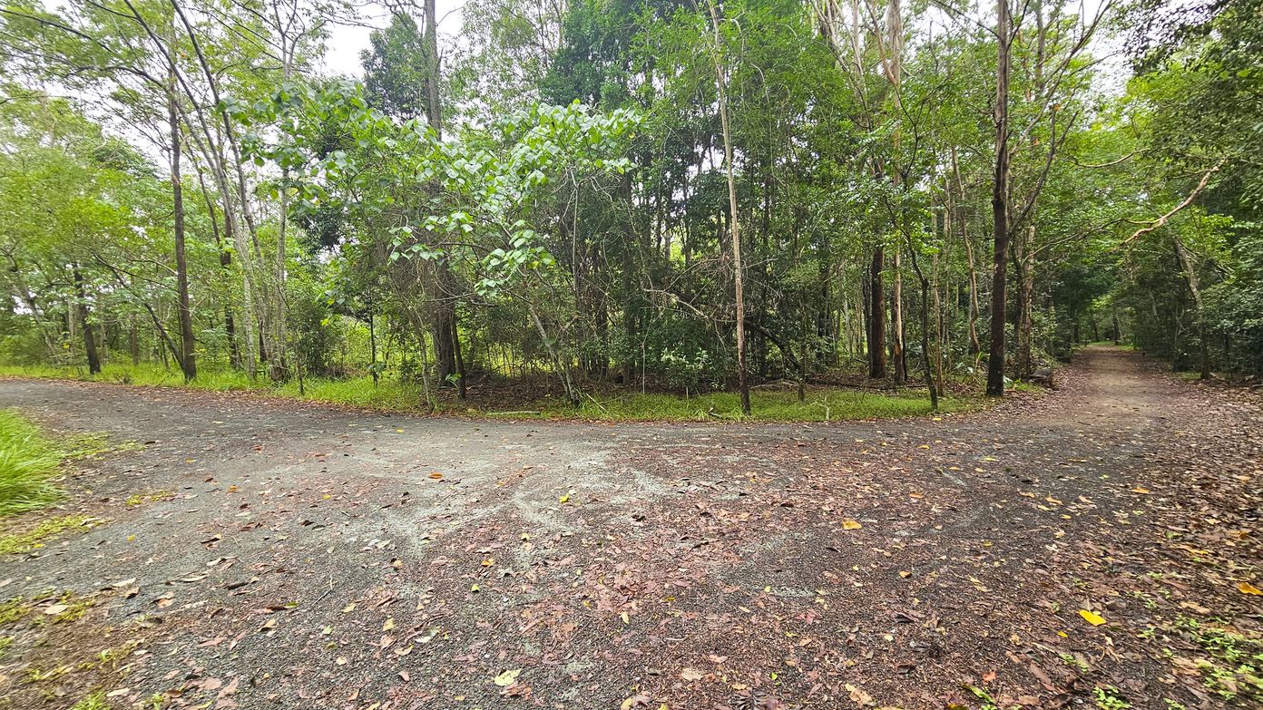 A forest path diverges into two directions. On the left, the path curves gently, bordered by dense trees with green foliage. On the right, the path continues straight, flanked by tall trees. The ground is covered with a mix of dirt and fallen leaves, creating a natural, earthy surface. The background is filled with lush greenery, with trees densely packed, creating a serene woodland atmosphere.