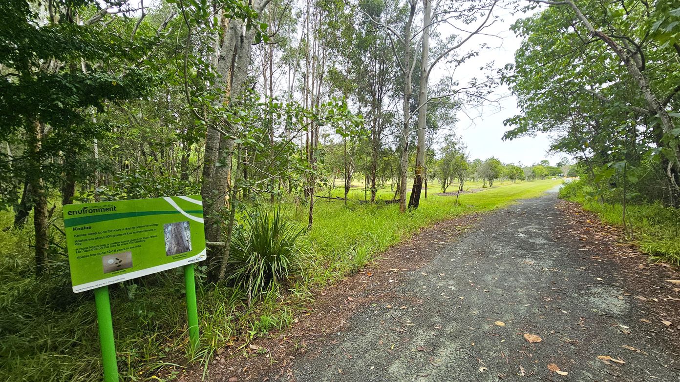 A narrow, paved path runs through a wooded area with trees on both sides. On the left, a green informational sign about koalas is visible, surrounded by dense foliage and grass. The right side of the path is bordered by more trees and grass, leading into an open, grassy area in the distance. The ground is covered with fallen leaves, and the path appears slightly worn.