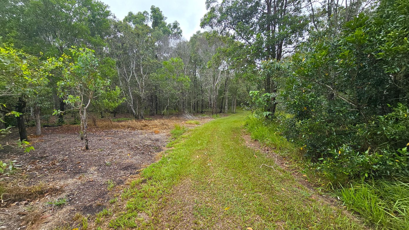 A narrow grassy path runs through a wooded area. On the left, there are sparse trees with some bare ground and fallen leaves. On the right, dense green foliage lines the path, with a variety of trees and shrubs. The background is filled with more trees, creating a forested scene. The ground is a mix of grass and earth, and the overall setting is natural and serene.
