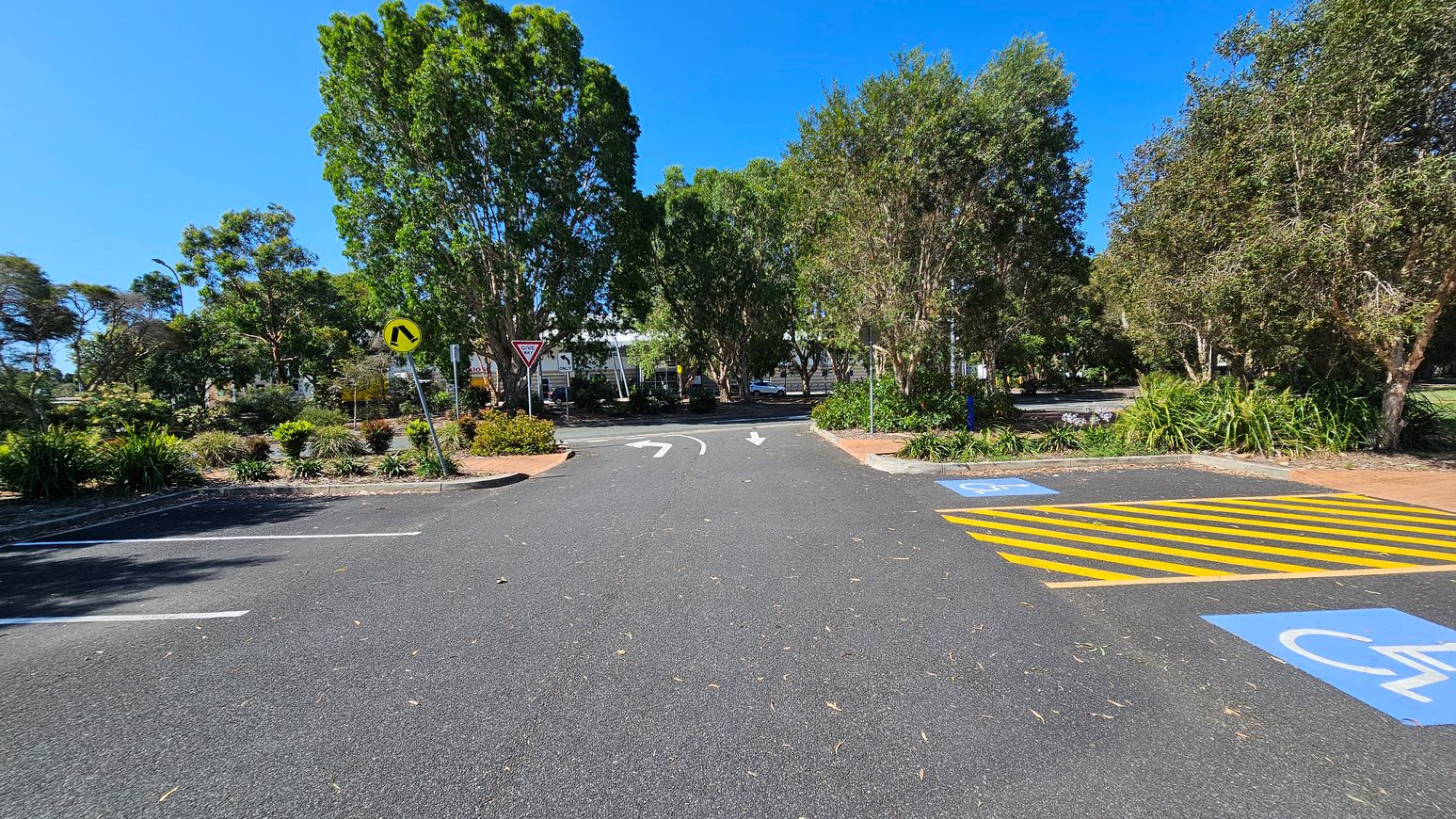 A paved road with a yellow striped pedestrian crossing and blue disabled parking symbols on the right. The road has directional arrows pointing left and right. On the left, there are parking spaces and a small garden with shrubs. In the background, there are tall green trees and a "Give Way" sign. The area is surrounded by lush greenery. A paved road with a yellow striped pedestrian crossing and blue disabled parking symbols on the right. The road has directional arrows pointing left and right. On the left, there are parking spaces and a small garden with shrubs. In the background, there are tall green trees and a "Give Way" sign. The area is surrounded by lush greenery.