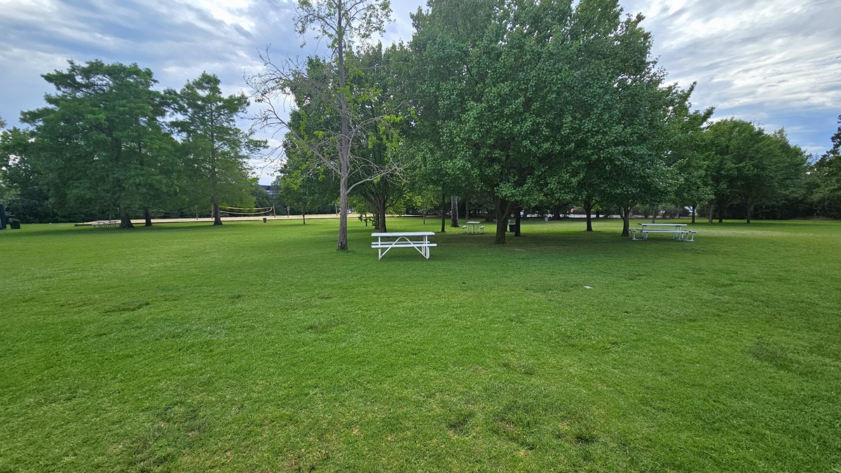 A spacious area covered with green neatly trimmed grass and tall trees. White picnic tables are placed under the trees for seating. Volleyball nets are installed on the far left. A spacious area covered with green neatly trimmed grass and tall trees. White picnic tables are placed under the trees for seating. Volleyball nets are installed on the far left.