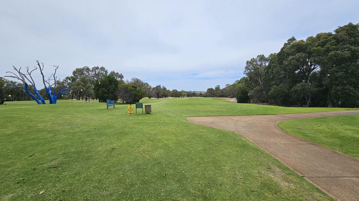 On the right, a curving concrete path leads to the right. To the left, there is a spacious green area. Adjacent is a tree trunk painted blue. Free Standing banners are positioned in the middle, accompanied by a rubbish bin. Tall trees encircle the area. On the right, a curving concrete path leads to the right. To the left, there is a spacious green area. Adjacent is a tree trunk painted blue. Free Standing banners are positioned in the middle, accompanied by a rubbish bin. Tall trees encircle the area.
