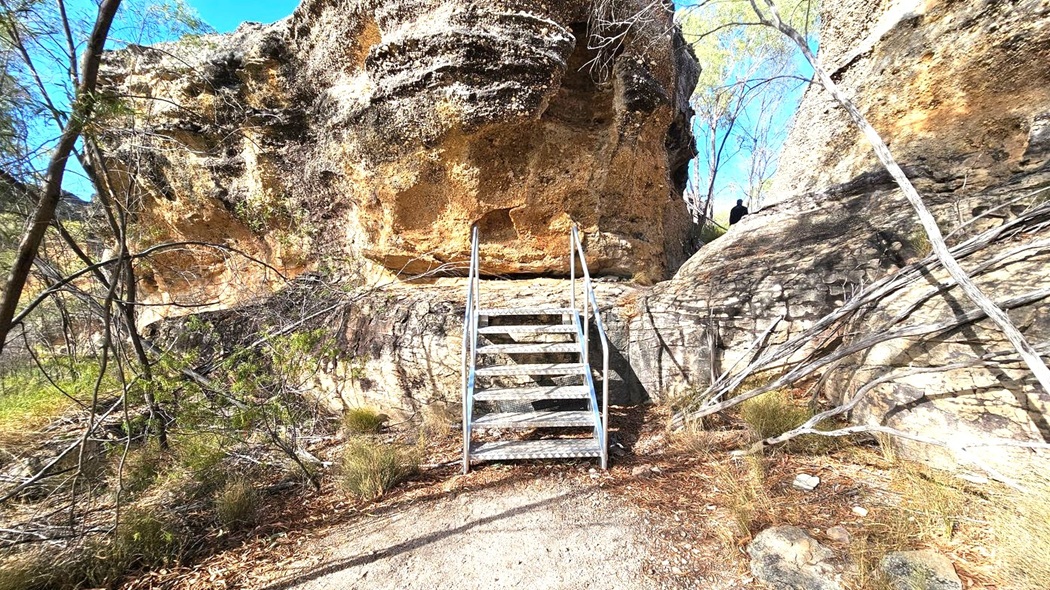 A metal staircase leads up to a rocky ledge in a natural setting. The large rock formation is textured and rugged, with some vegetation growing on it. On the right, a person is visible standing on the rock. The ground is covered with dry leaves and twigs, and there are sparse bushes and trees around. The sky is clear and blue, visible through the branches.