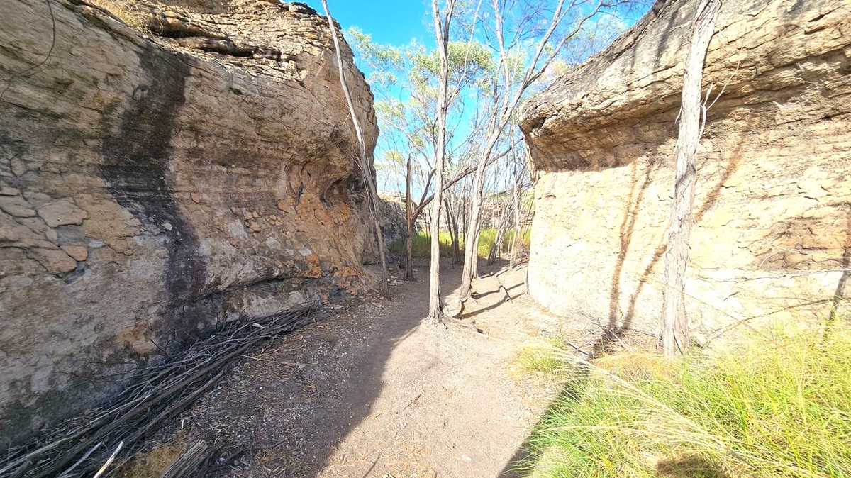 Tall rock formations on both sides create a narrow passage. The left side features a rugged, textured surface with dark streaks, while the right side has a smoother, lighter appearance. In the centre, slender trees with sparse foliage grow from the ground, casting shadows. The ground is a mix of dirt and scattered leaves, with some grass visible on the right. The background shows more trees and a clear blue sky.