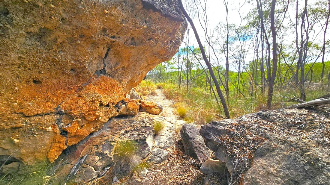 A rugged landscape with a large, textured rock formation on the left, displaying shades of brown and orange. A narrow dirt path winds through the centre, bordered by dry grass and small shrubs. On the right, slender trees with sparse foliage rise against a backdrop of more dense greenery. The ground is scattered with dry leaves and twigs.