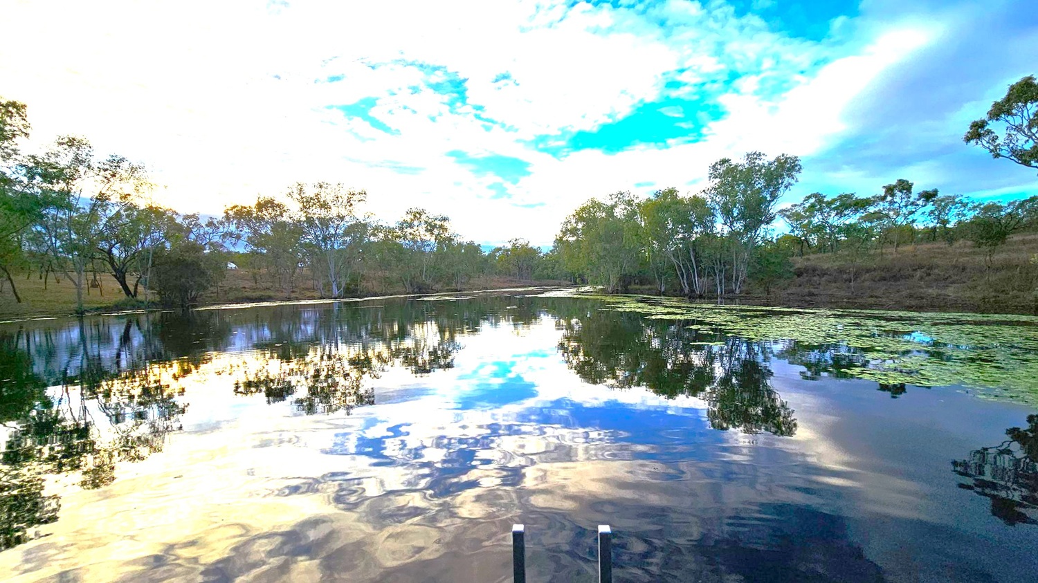 A tranquil lake with a reflective surface occupies the foreground, mirroring the sky and surrounding trees. The water is dotted with patches of lily pads. On both the left and right, trees with sparse foliage line the banks, creating a natural border. The background features a mix of dense and scattered trees, with a variety of greens. The sky above is filled with a mix of clouds, ranging from light to dark, with hints of blue peeking through.