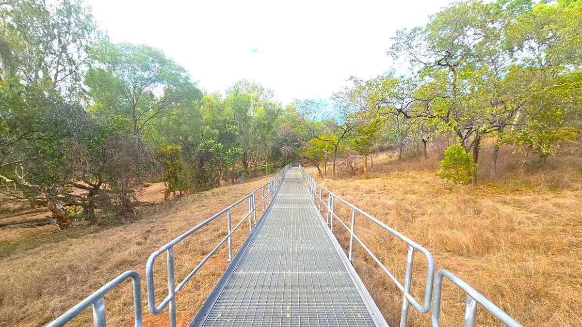 A metal walkway with railings extends into the distance, surrounded by a natural landscape. On the left, dense green trees and shrubs are visible, while on the right, there are more sparse trees with some dry grass. The ground is a mix of brown and green, indicating a dry area. The walkway appears elevated, providing a clear path through the terrain.