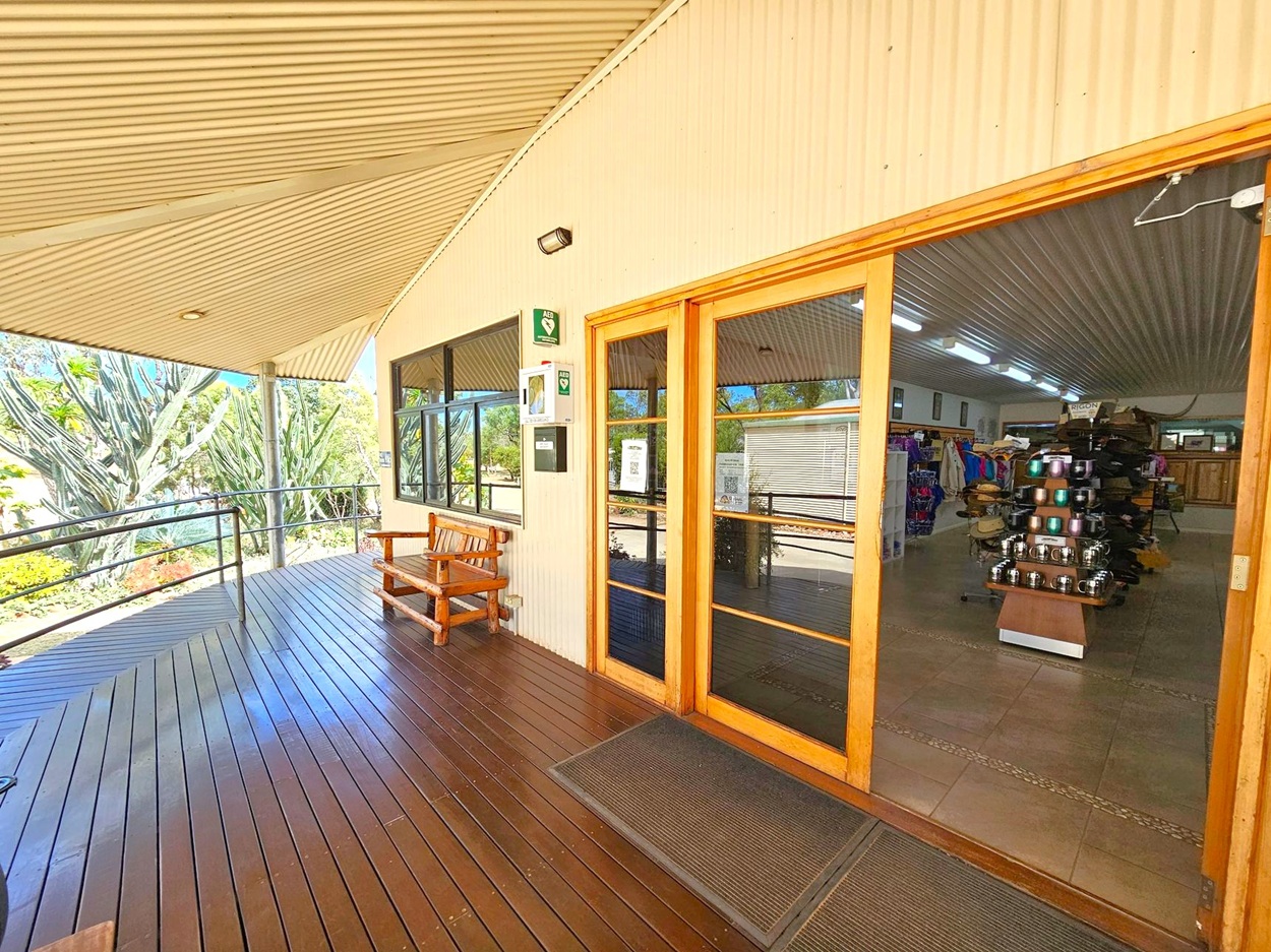 A wooden deck with a sloped, corrugated metal roof on the left, featuring a wooden bench and a railing. A large window and a defibrillator are mounted on the wall. On the right, glass doors lead into a shop with tiled flooring, displaying shelves of hats and clothing. The interior is well-lit with fluorescent lights. In the background, there are large cacti and various plants visible through the window.