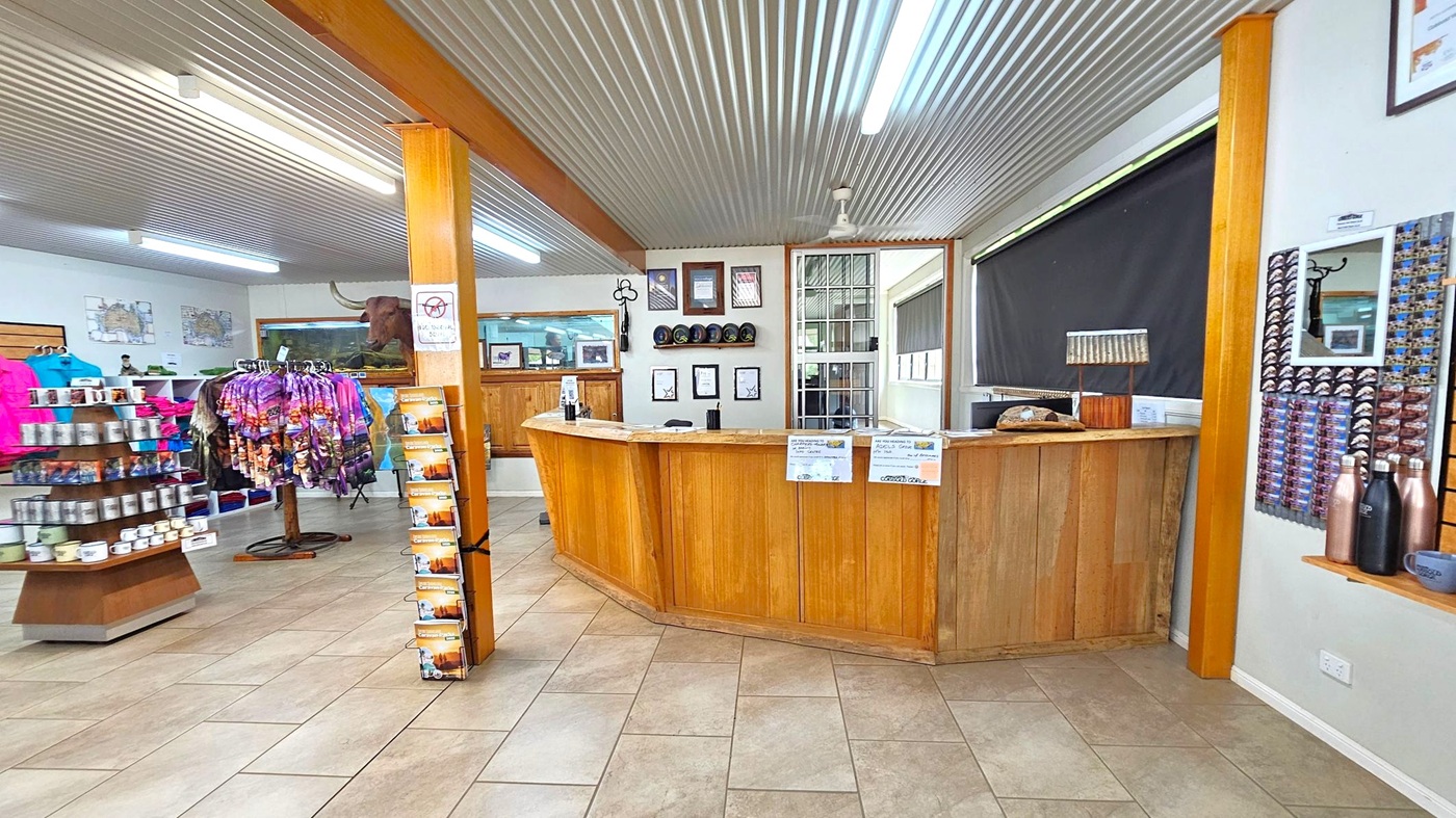 A shop interior with a wooden reception desk in the centre, displaying signs and a cap. Behind the desk, framed certificates and hats are mounted on the wall. To the left, shelves hold mugs and colourful clothing. A wooden pillar supports a rack with brochures. The floor is tiled in beige, and the ceiling is corrugated metal with fluorescent lights. On the right, a wall displays water bottles and magnets.
