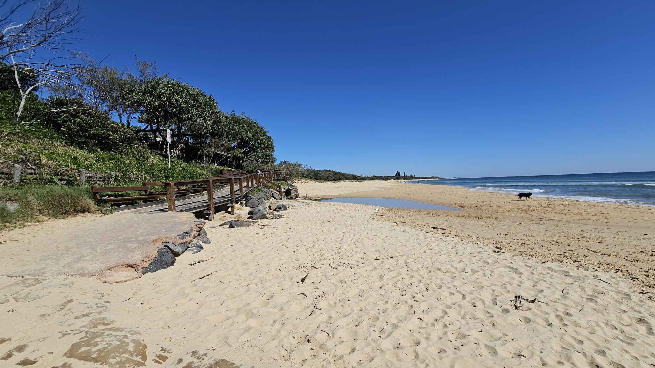 Sandy beach with a wooden walkway on the left, bordered by dense green foliage and trees. Rocks are scattered near the walkway. On the right, the ocean stretches along the shoreline, with gentle waves meeting the sand. A dog is walking near the water's edge. The sky is clear and blue. Sandy beach with a wooden walkway on the left, bordered by dense green foliage and trees. Rocks are scattered near the walkway. On the right, the ocean stretches along the shoreline, with gentle waves meeting the sand. A dog is walking near the water's edge. The sky is clear and blue.