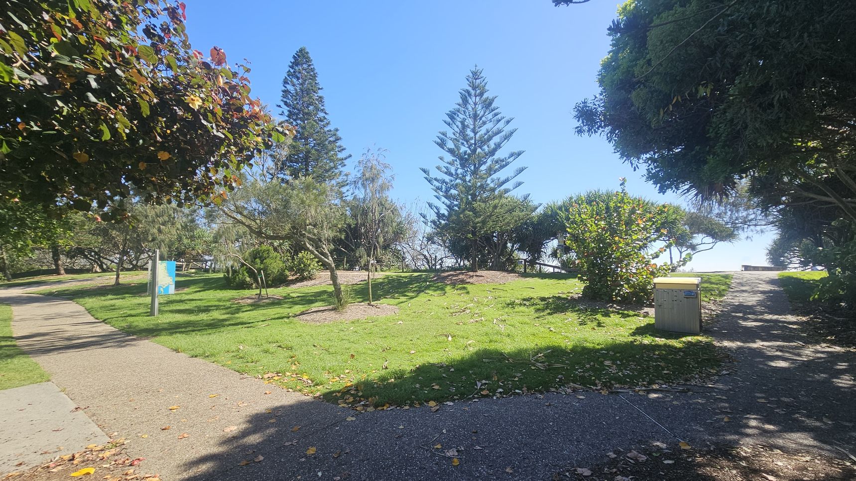 A park scene with a paved path on the left leading through a grassy area. Tall trees, including a prominent pine, are in the centre and background. A sign with a blue map is near the path. On the right, a bin is situated beside another path that leads towards the horizon. The ground is covered with scattered leaves, and the area is shaded by overhanging branches. A park scene with a paved path on the left leading through a grassy area. Tall trees, including a prominent pine, are in the centre and background. A sign with a blue map is near the path. On the right, a bin is situated beside another path that leads towards the horizon. The ground is covered with scattered leaves, and the area is shaded by overhanging branches.