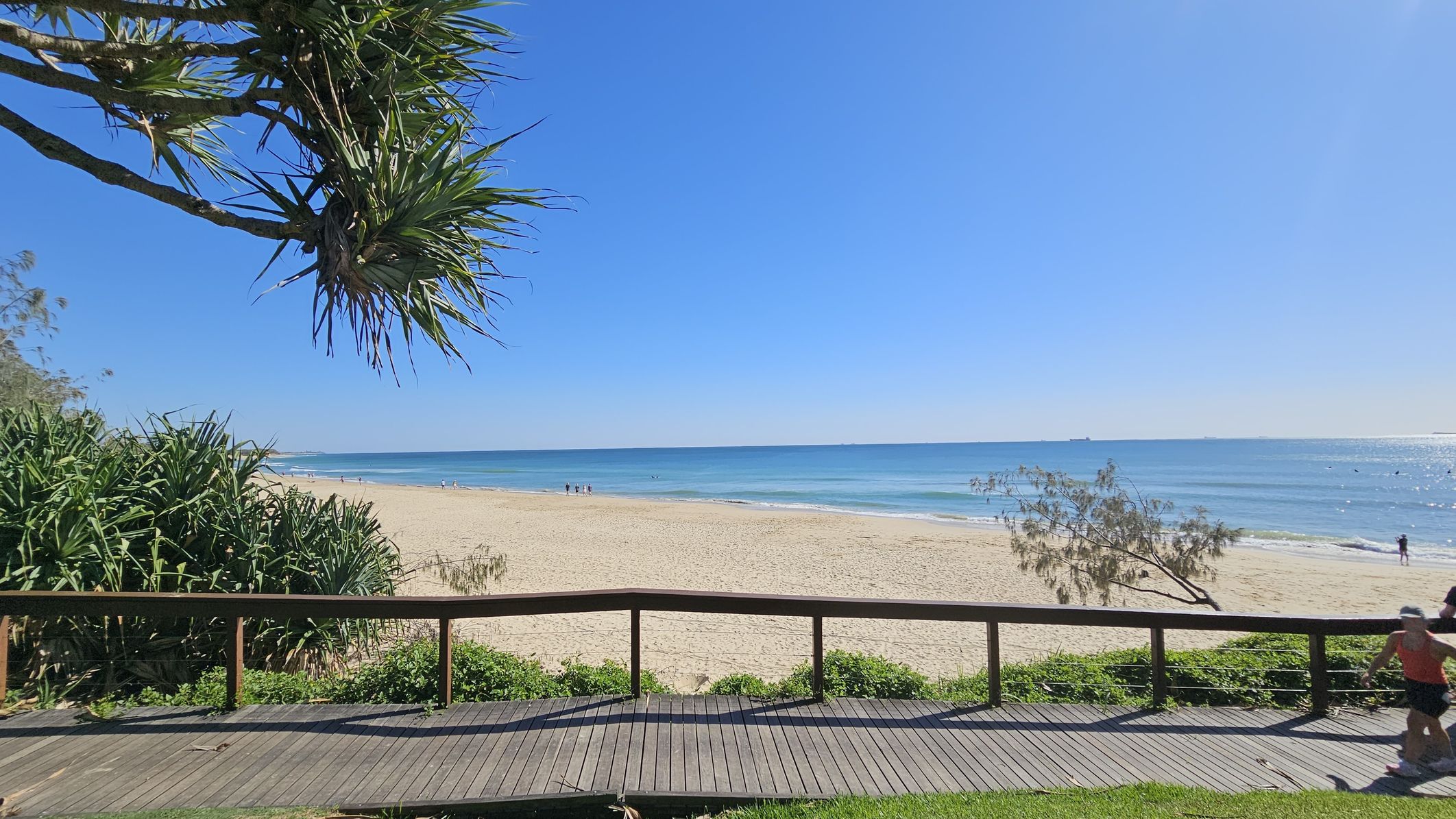A sandy beach stretches across the middle, meeting a calm blue sea. In the foreground, a wooden boardwalk with a railing runs horizontally, bordered by green foliage. On the left, a large tree with spiky leaves extends over the scene. A few people are visible on the beach and in the water. On the right, a person in athletic clothing is jogging along the boardwalk. The sky is clear and blue. A sandy beach stretches across the middle, meeting a calm blue sea. In the foreground, a wooden boardwalk with a railing runs horizontally, bordered by green foliage. On the left, a large tree with spiky leaves extends over the scene. A few people are visible on the beach and in the water. On the right, a person in athletic clothing is jogging along the boardwalk. The sky is clear and blue.