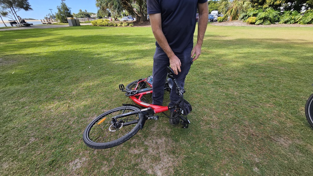 On the left, a red electric bike lies on its side on a grassy area. In the middle, a person wearing a dark blue shirt and trousers is standing, holding the bike's handlebars. On the right, more grass and a few trees are visible. The background includes a grassy park area with trees, bushes, and some parked cars.