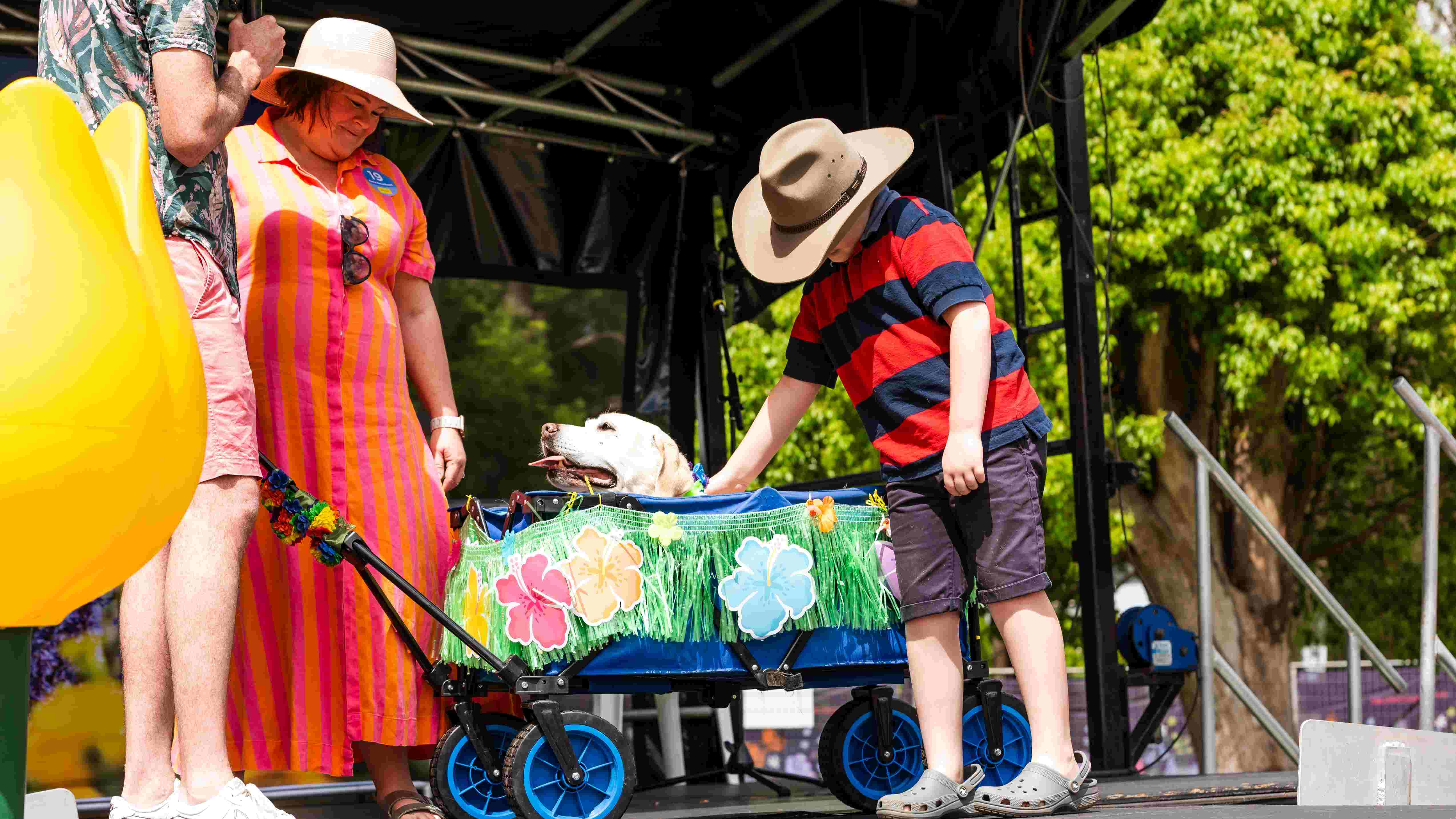 Person in colourful clothing and a wide-brimmed hat walks a dog along an outdoor parade runway, with spectators nearby.