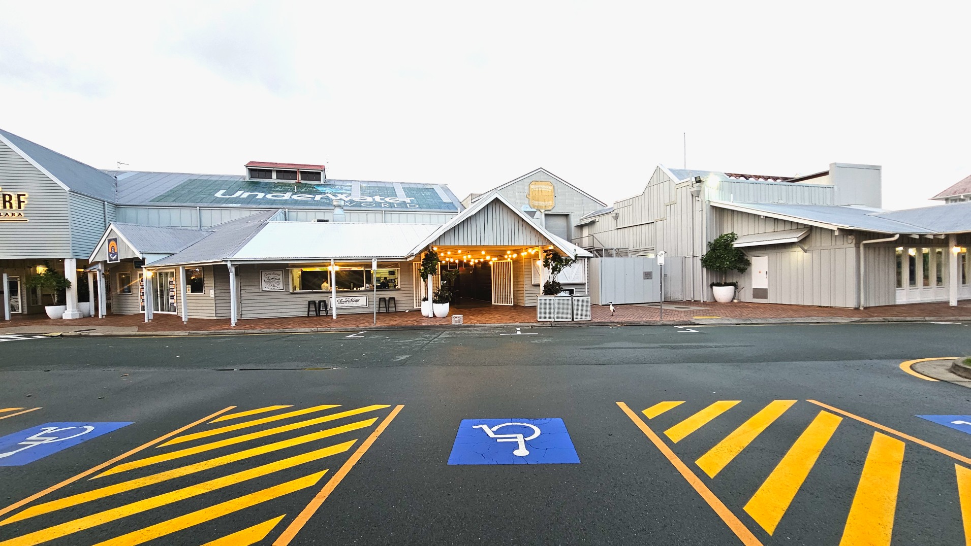 A building with a grey corrugated metal roof and light grey wooden siding features prominently. The entrance is adorned with string lights and flanked by large potted plants. A sign on the roof reads 'Underwater World'. The foreground shows a car park with blue and yellow markings, including a disabled parking symbol. The area is open with brick paving near the entrance and a mix of asphalt and painted lines in the car park.