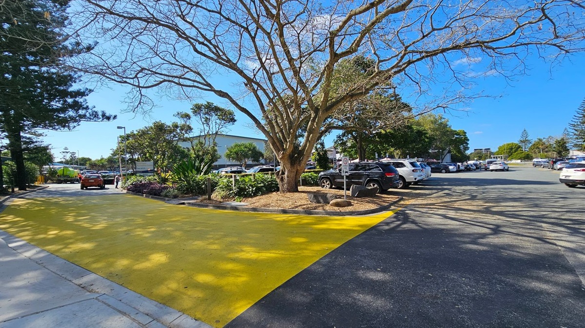 A large tree with bare branches stands in the centre, surrounded by a mulched area. To the right, several parked cars are visible in a car park. On the left, a yellow-painted section of pavement leads towards a road with more vehicles, including a green truck and an orange car. The background features a building partially obscured by trees and shrubs. Shadows of the tree branches stretch across the ground. A large tree with bare branches stands in the centre, surrounded by a mulched area. To the right, several parked cars are visible in a car park. On the left, a yellow-painted section of pavement leads towards a road with more vehicles, including a green truck and an orange car. The background features a building partially obscured by trees and shrubs. Shadows of the tree branches stretch across the ground.