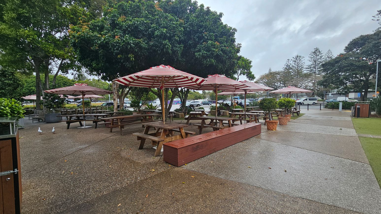 Wooden picnic tables with red and white striped umbrellas are in the centre, surrounded by trees and greenery. The ground is a mix of concrete and grass. A few seagulls are on the left. In the background, there are parked cars and more trees. The area appears to be a public outdoor space, possibly a park or a café seating area. Wooden picnic tables with red and white striped umbrellas are in the centre, surrounded by trees and greenery. The ground is a mix of concrete and grass. A few seagulls are on the left. In the background, there are parked cars and more trees. The area appears to be a public outdoor space, possibly a park or a café seating area.