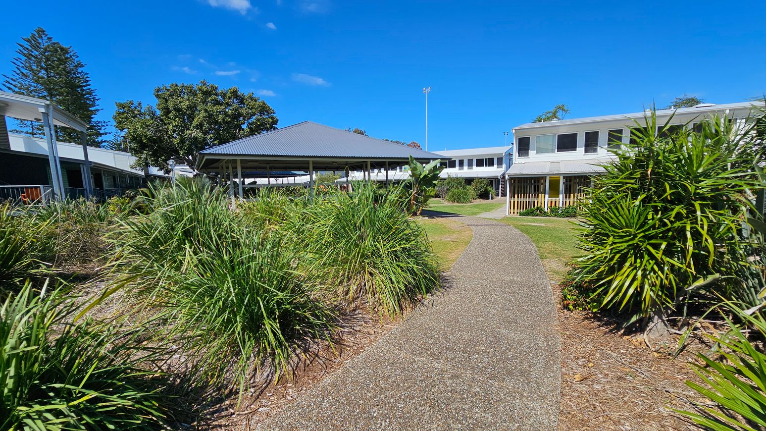 A pathway winds through a garden with tall grasses and shrubs on both sides. On the left, there's a building with a covered walkway and a large tree. In the centre, a pavilion with a grey roof is visible. On the right, a two-storey building with large windows and a small garden area is present. The sky is clear and blue. A pathway winds through a garden with tall grasses and shrubs on both sides. On the left, there's a building with a covered walkway and a large tree. In the centre, a pavilion with a grey roof is visible. On the right, a two-storey building with large windows and a small garden area is present. The sky is clear and blue.
