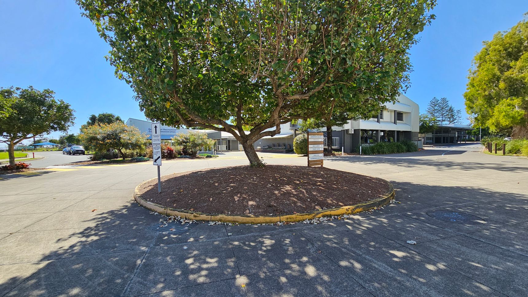 A large tree with a thick trunk and dense green foliage is centred in a circular garden bed surrounded by a concrete pavement. To the left, a road leads to a car park with a few parked cars and more trees. On the right, a modern two-storey building with white and grey exterior walls is visible. A signpost with directional arrows is near the tree. The ground is a mix of concrete and landscaped areas, with shadows from the tree cast on the pavement. A large tree with a thick trunk and dense green foliage is centred in a circular garden bed surrounded by a concrete pavement. To the left, a road leads to a car park with a few parked cars and more trees. On the right, a modern two-storey building with white and grey exterior walls is visible. A signpost with directional arrows is near the tree. The ground is a mix of concrete and landscaped areas, with shadows from the tree cast on the pavement.