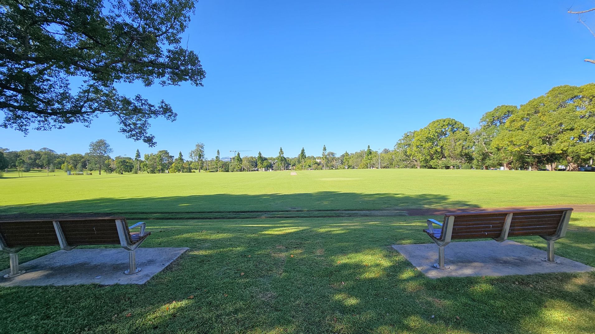 Two wooden benches are positioned on concrete slabs in the foreground, facing a large, open grassy field. The field is surrounded by a variety of trees in the background, with some casting shadows on the grass. A tree branch extends from the top left corner, providing partial shade. The grass is well-maintained, and the scene is peaceful and open.