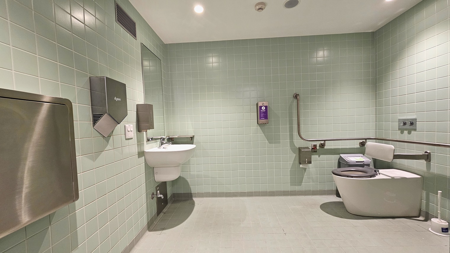 Within the bathroom, a foldable change table and a toilet paper dispenser are affixed to the left wall, alongside a wash basin. To the right, a toilet bowl with hand grabs and handrails is present. A tissue dispenser, rubbish bin, and toilet are positioned nearby. The wall features light green tiles, and the ceiling, along with the floor, is uniformly white.