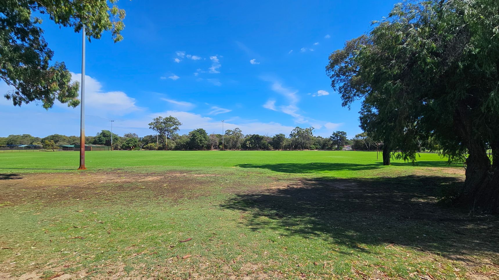 A grassy field with a tall light pole on the left. The foreground has patches of dry grass and scattered leaves. On the right, a large tree casts a shadow on the ground. In the background, more trees line the horizon, and another light pole is visible. The scene is well-lit, suggesting a sunny day. A grassy field with a tall light pole on the left. The foreground has patches of dry grass and scattered leaves. On the right, a large tree casts a shadow on the ground. In the background, more trees line the horizon, and another light pole is visible. The scene is well-lit, suggesting a sunny day.